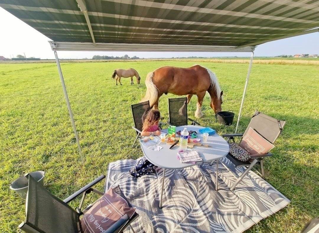 Campérêve Fiat ducato