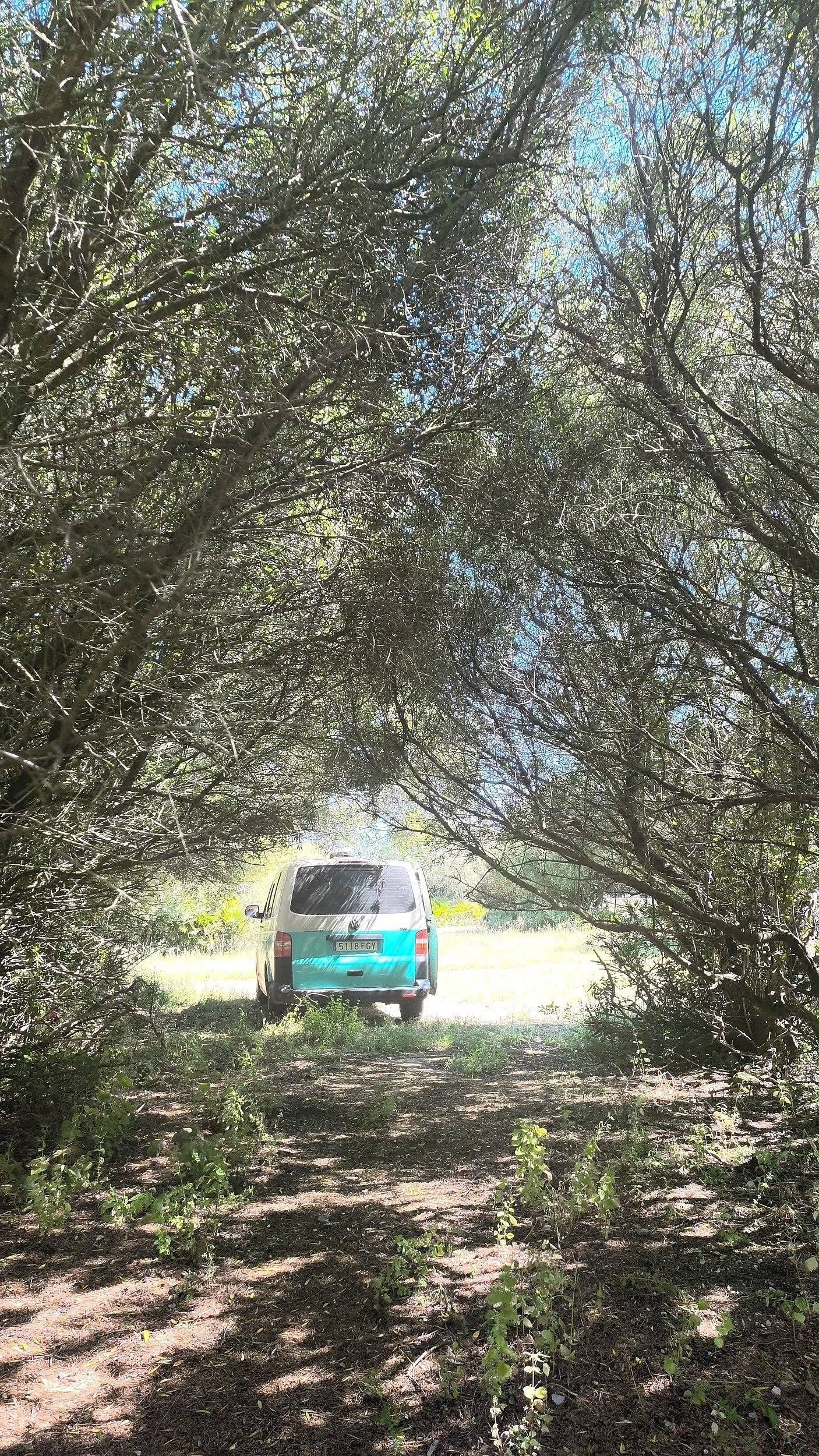 transporter Volkswagen
