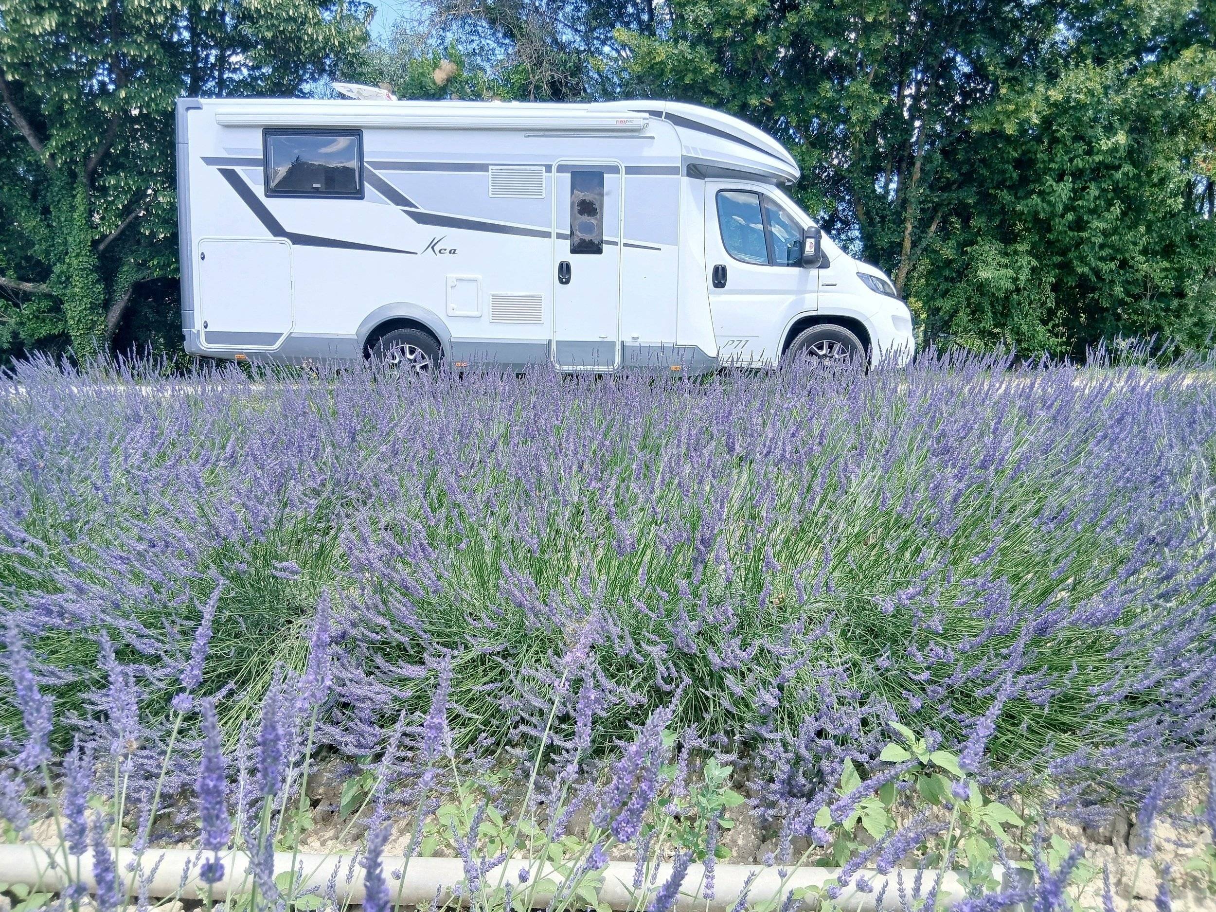 Camping-car Profilé 