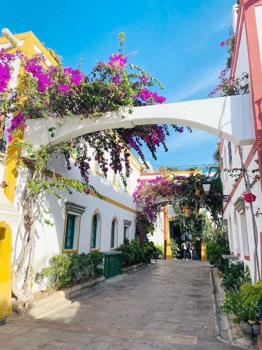 P.L.A. Citroën jumper