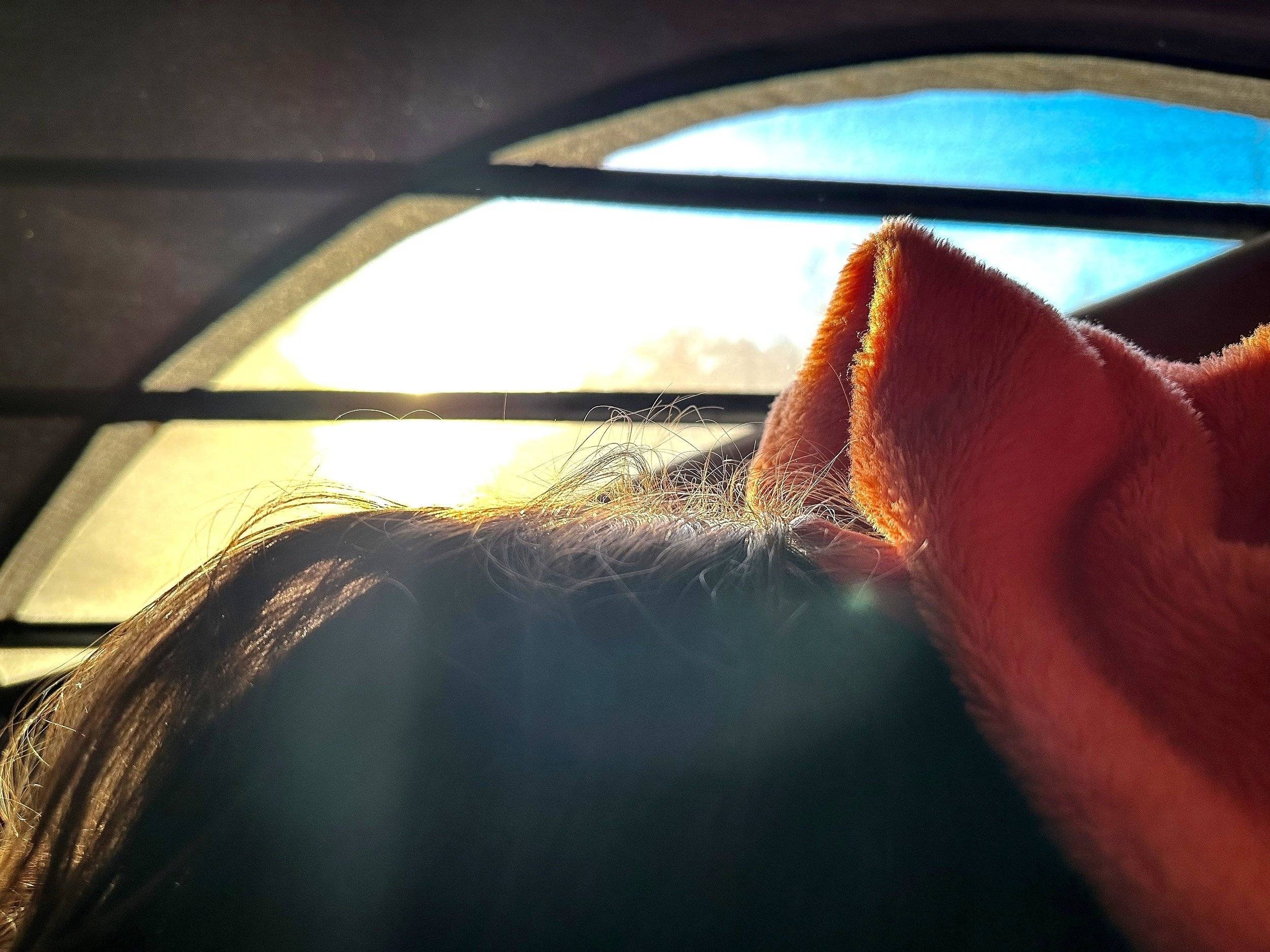 review photo thumbnail