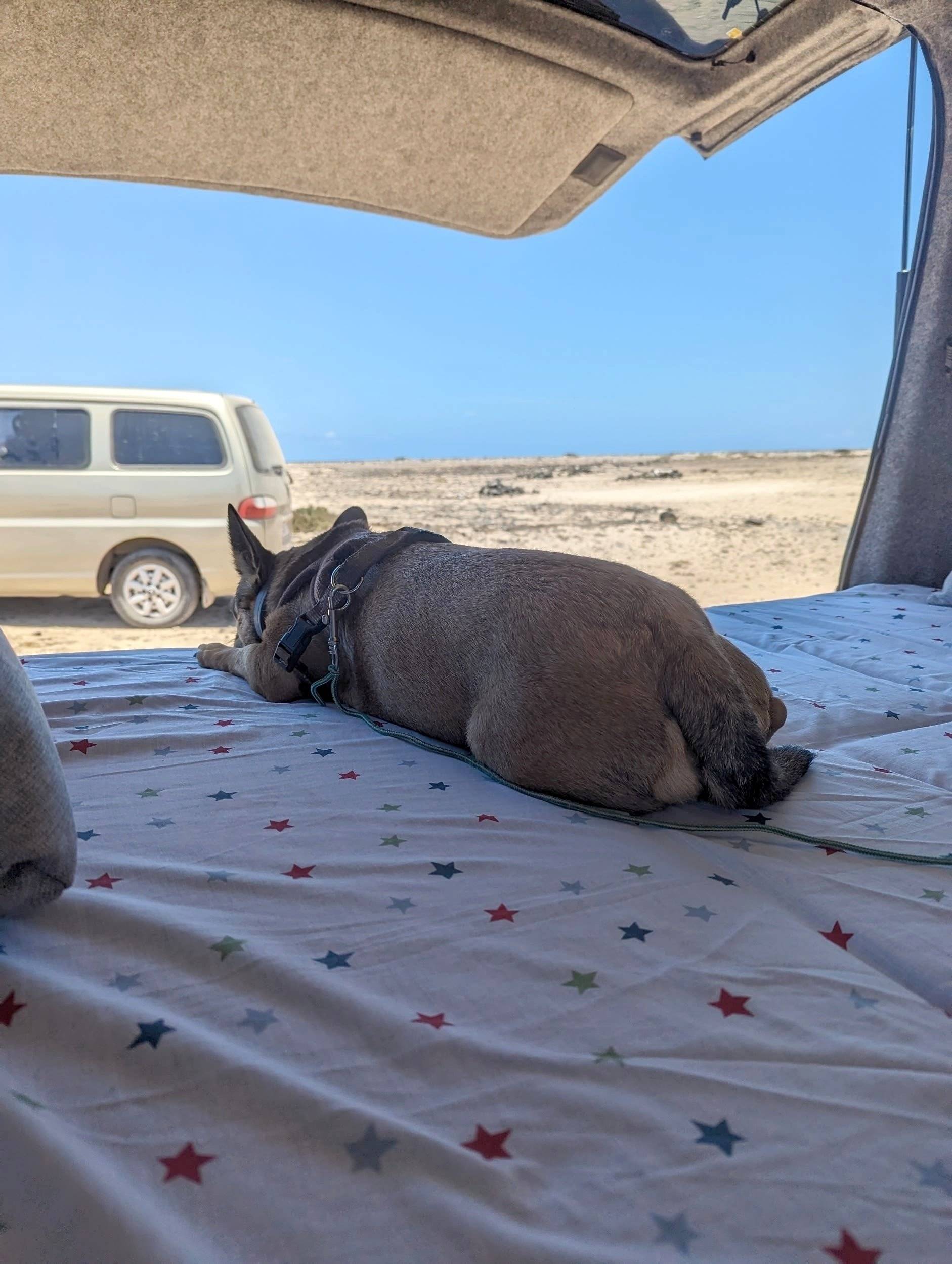 Hyundai H1 2003 Camperizada H1