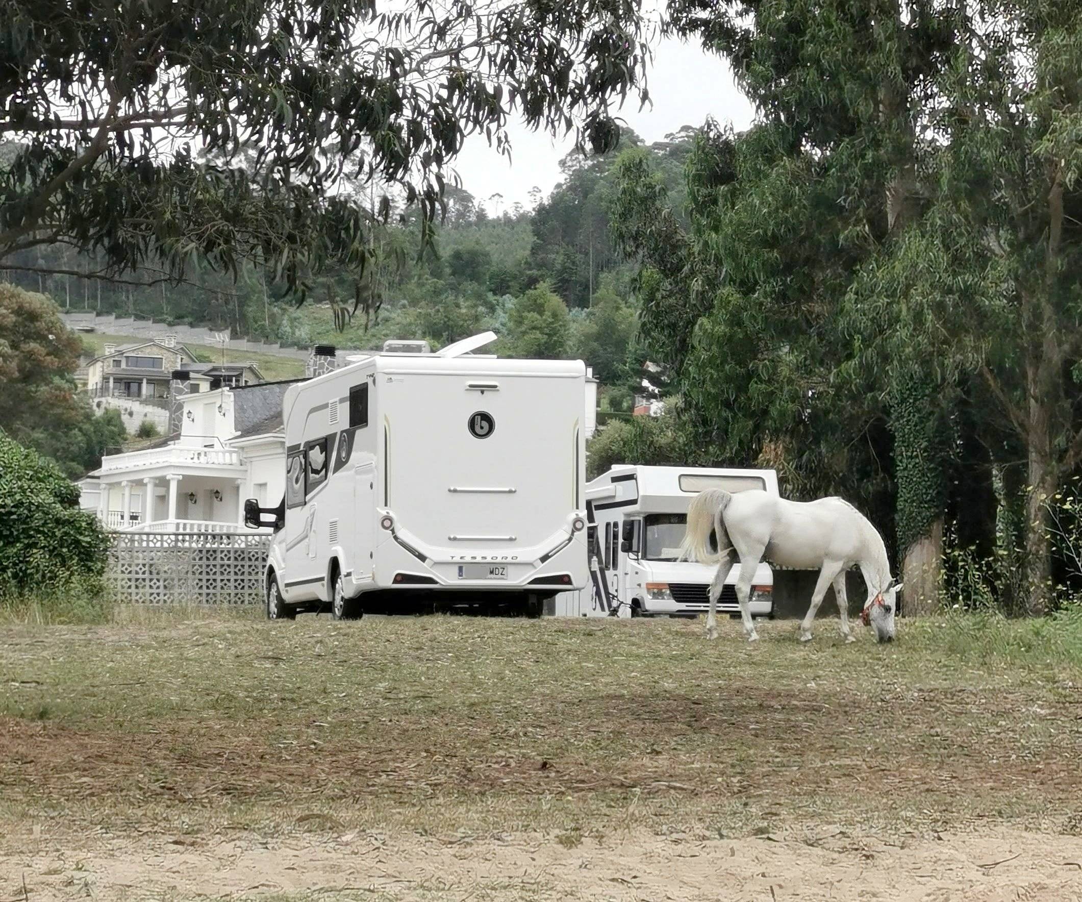 Benimar Benimar tesoro 442