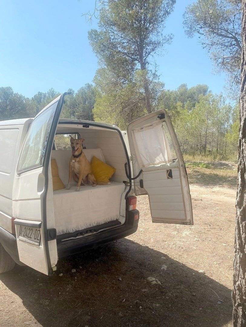 Voorkant 3/4 Volkswagen Transporter T4 - Yescapa