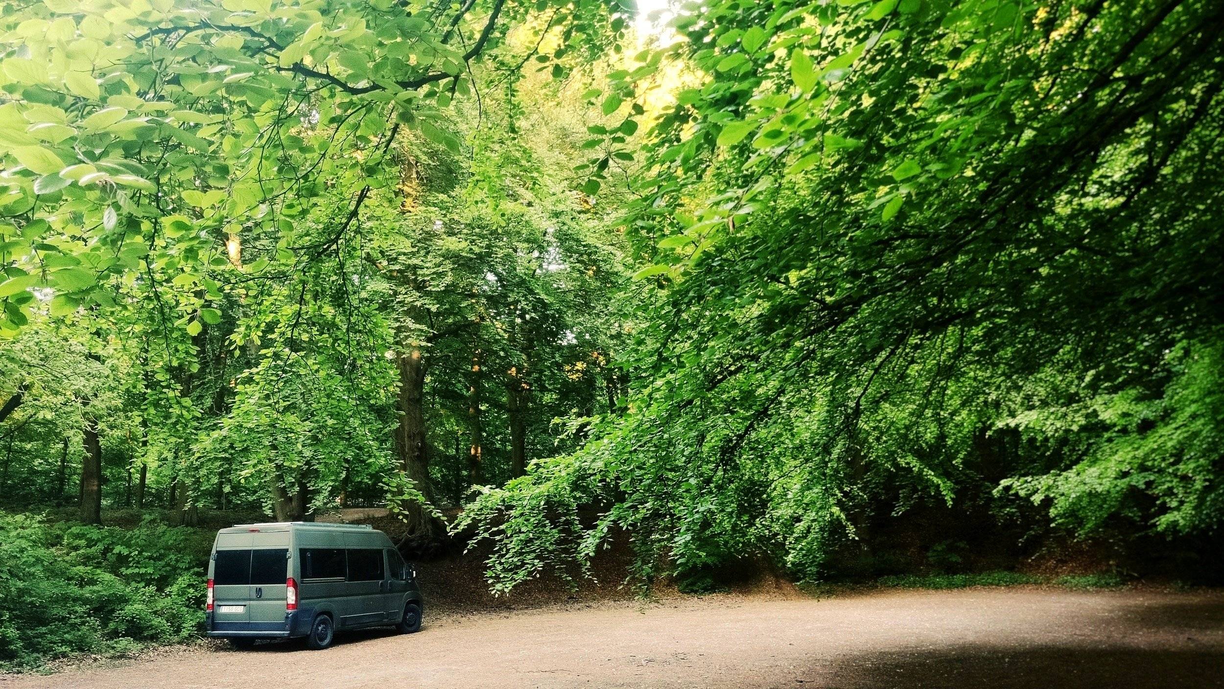 jumper Citroën jumper