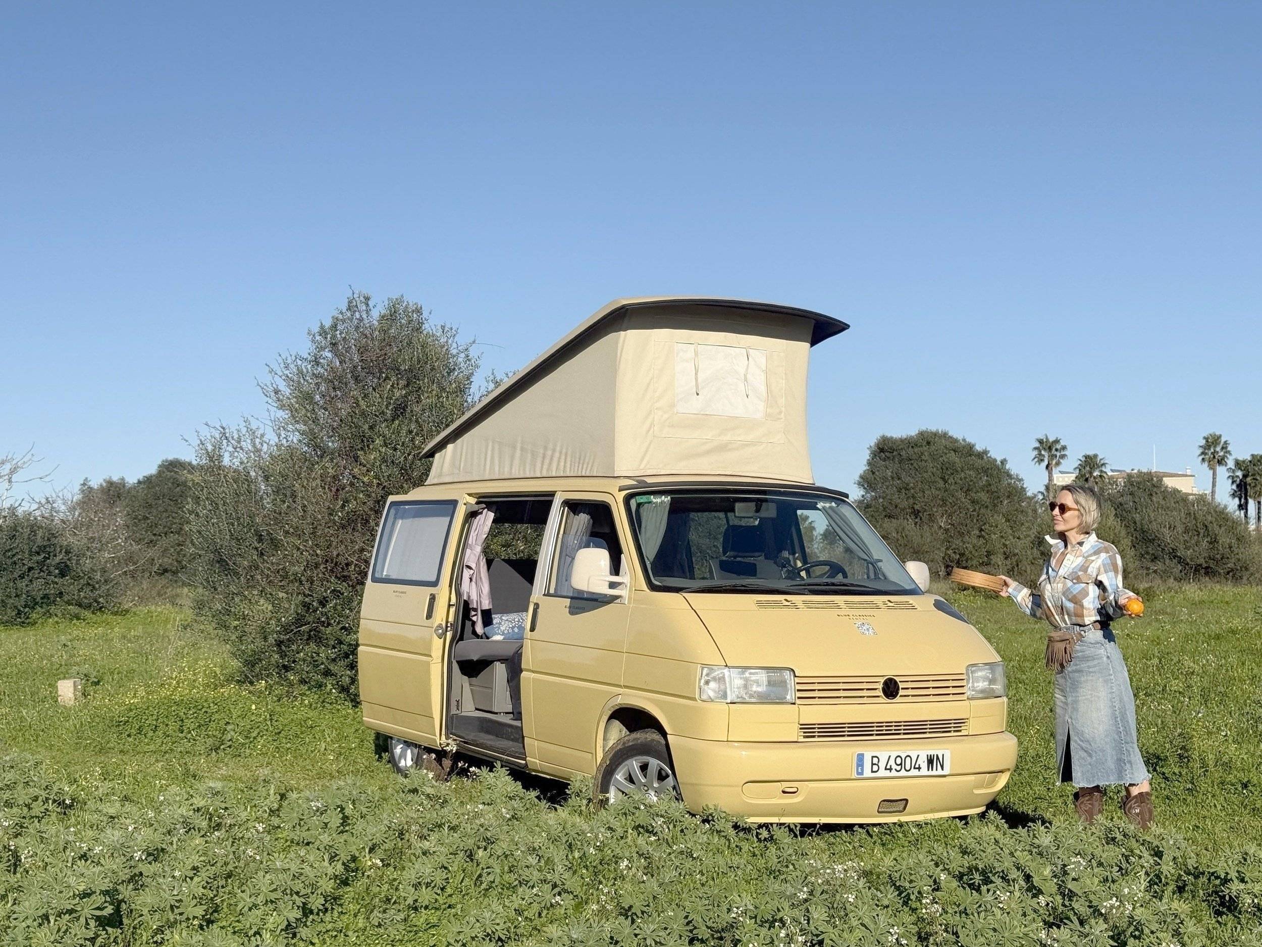 Westfalia Blue Classics