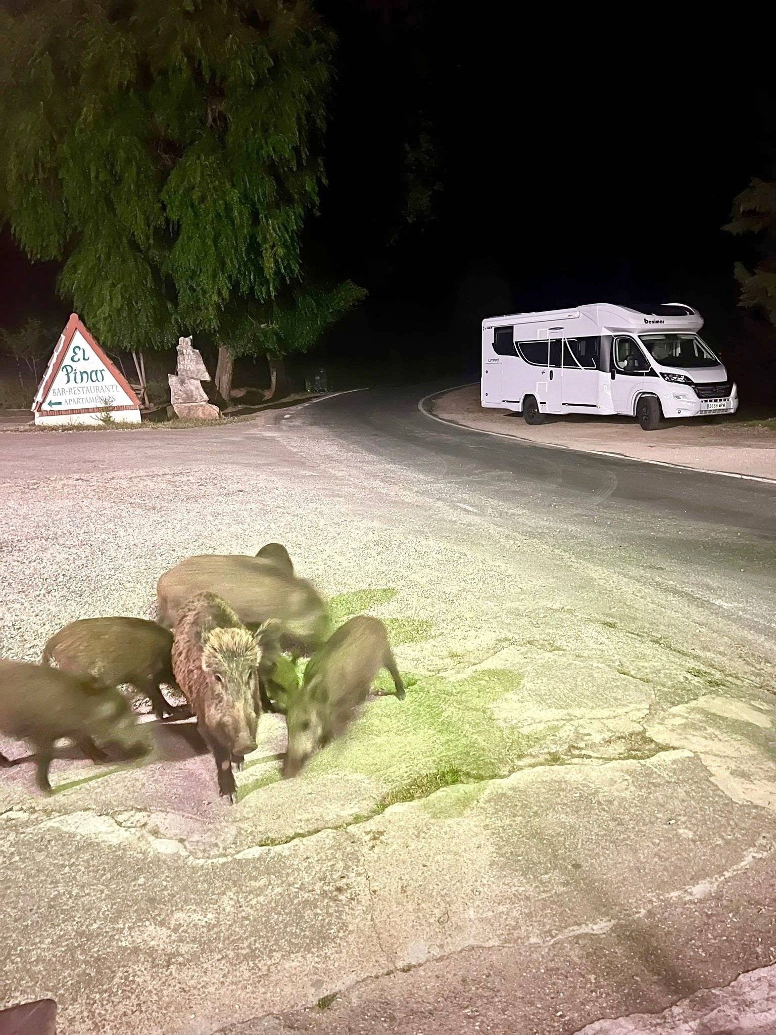 Benimar BENIMAR TESSORO 463UP