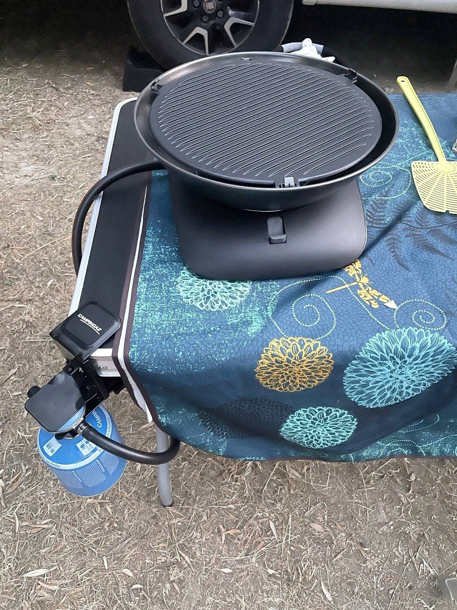 Mclouis yearling 89 G