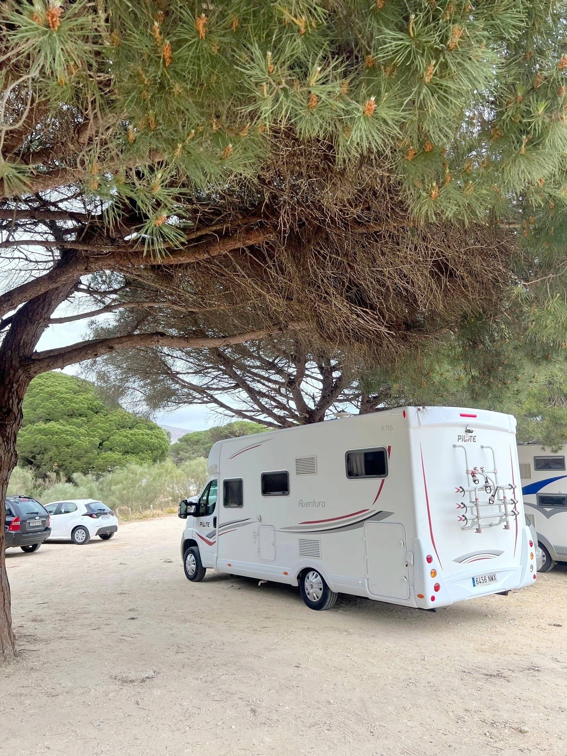 Fiat Pilote aventura P736