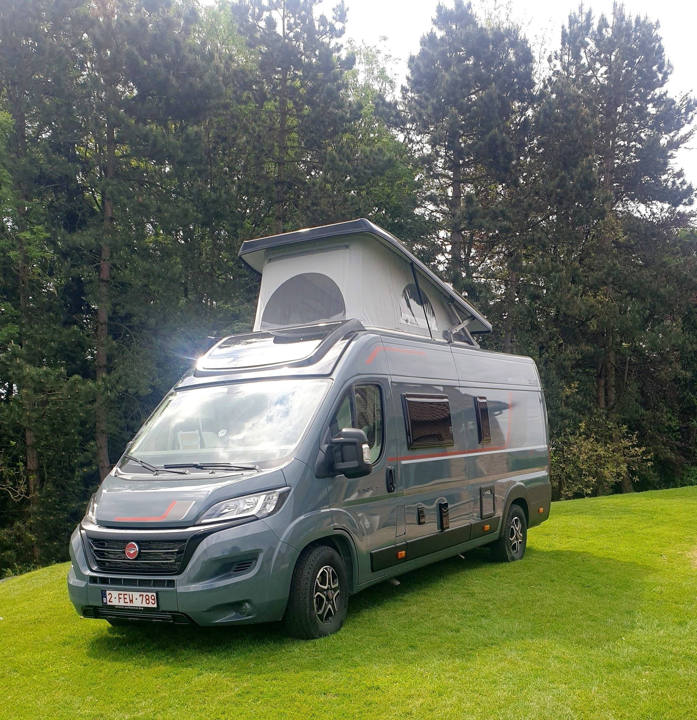 Roller Team Livingstone DUO XL Sport