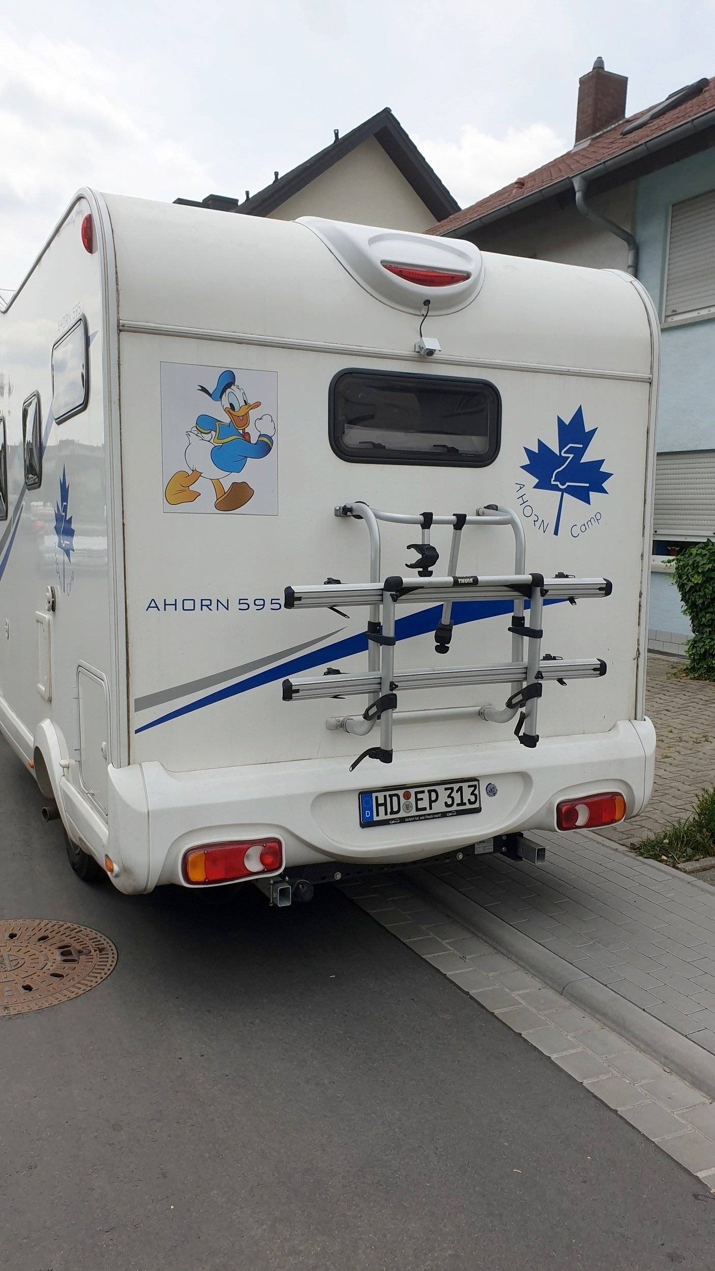 Ahorn Ahorn Camp 595