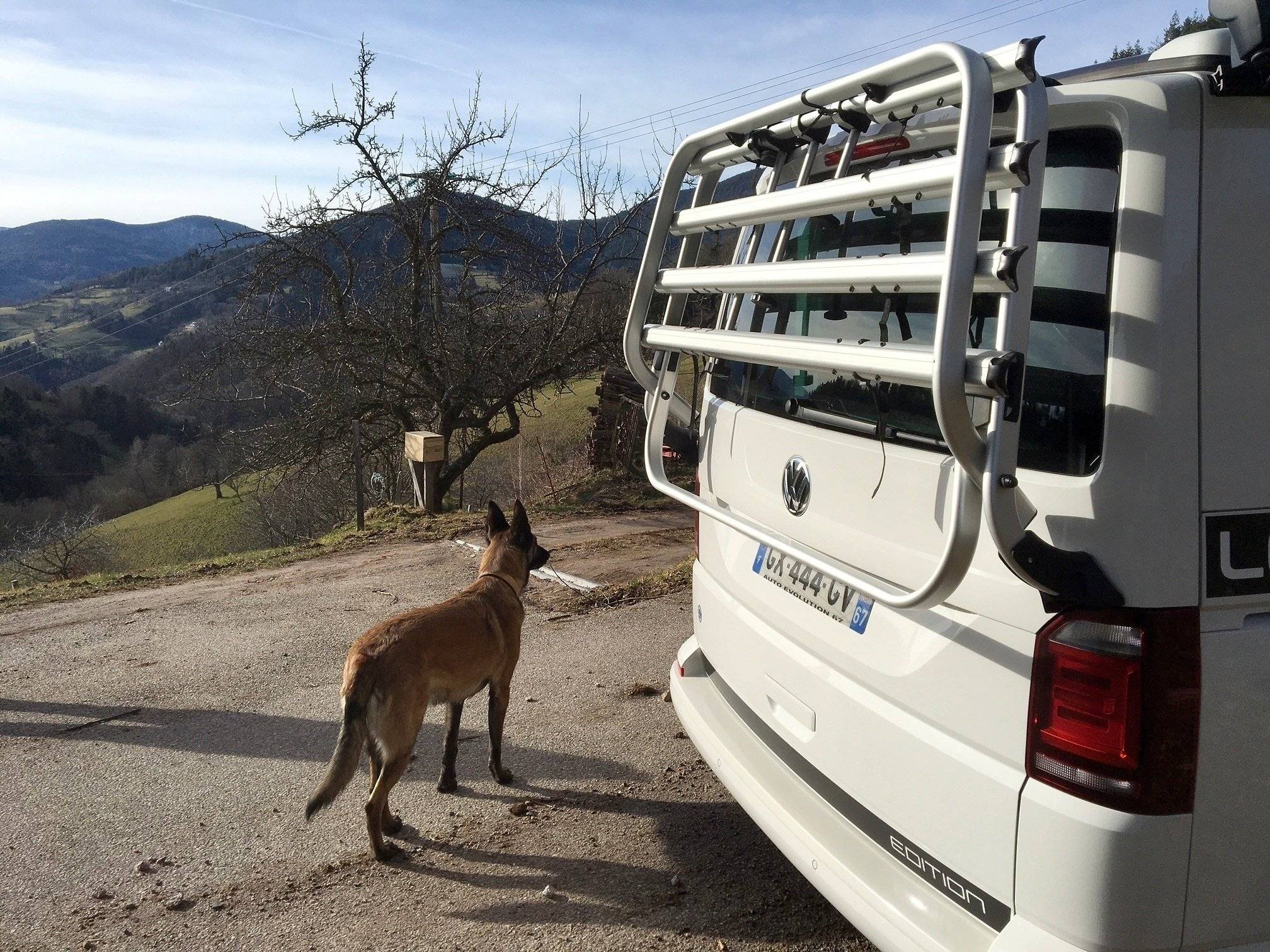 Volkswagen California T6 Coast Edition