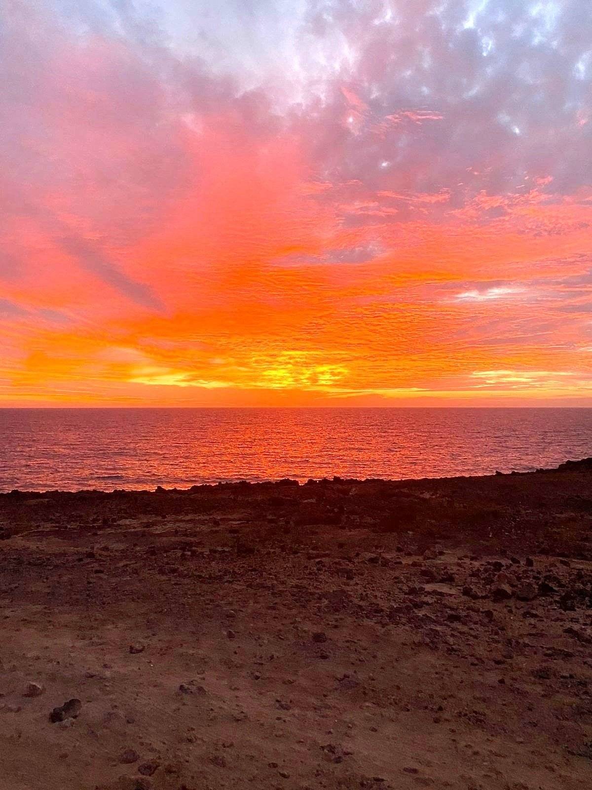 Volkswagen Furgomania