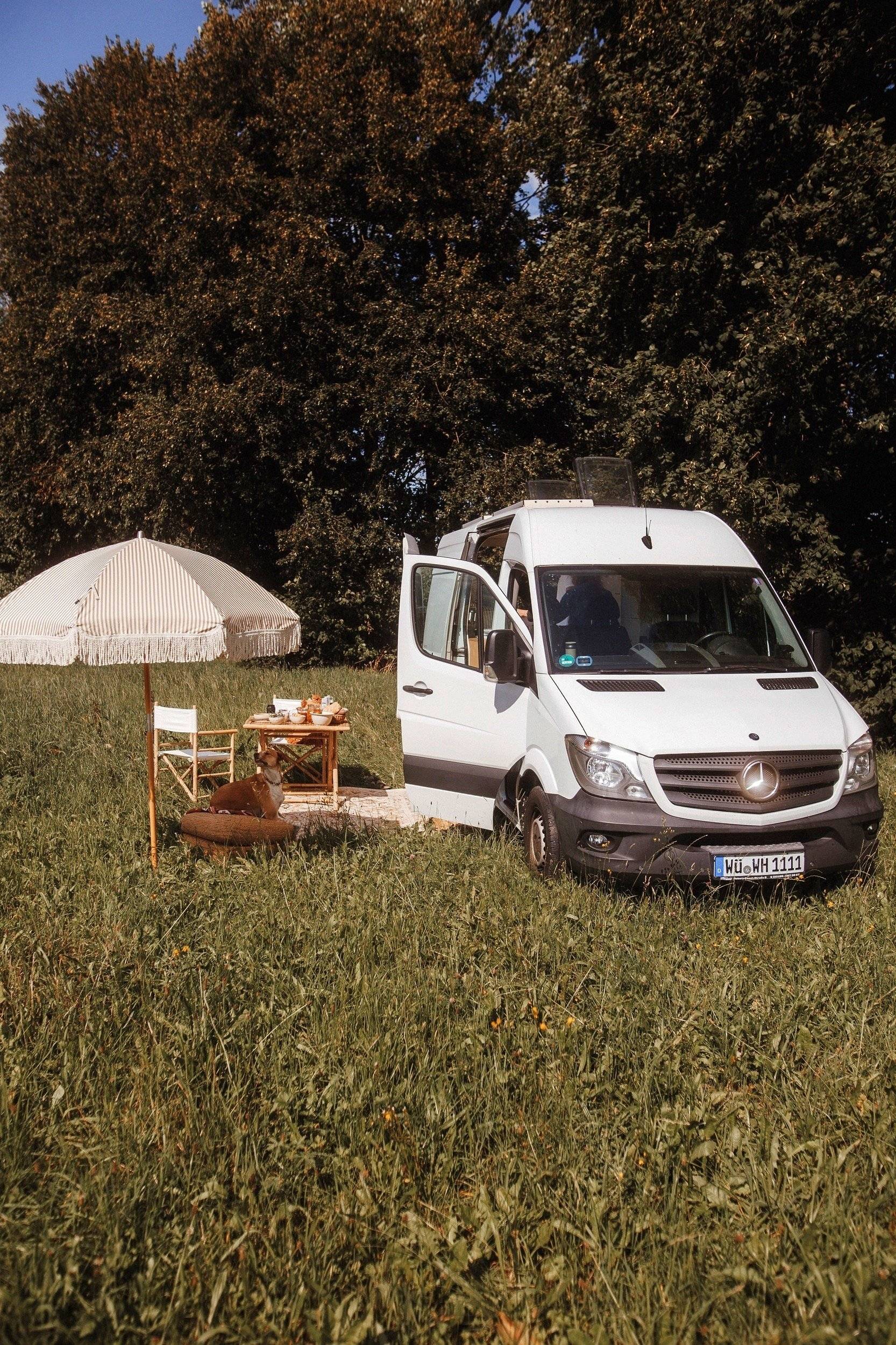 Mercedes Mercedes Benz Sprinter 316