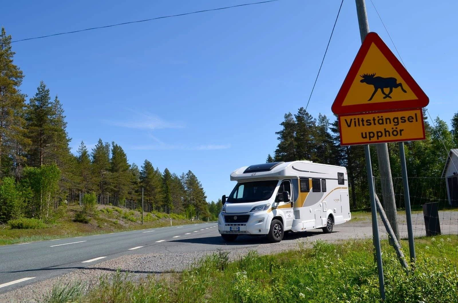 C.I. MAGIS PLUS 87XT