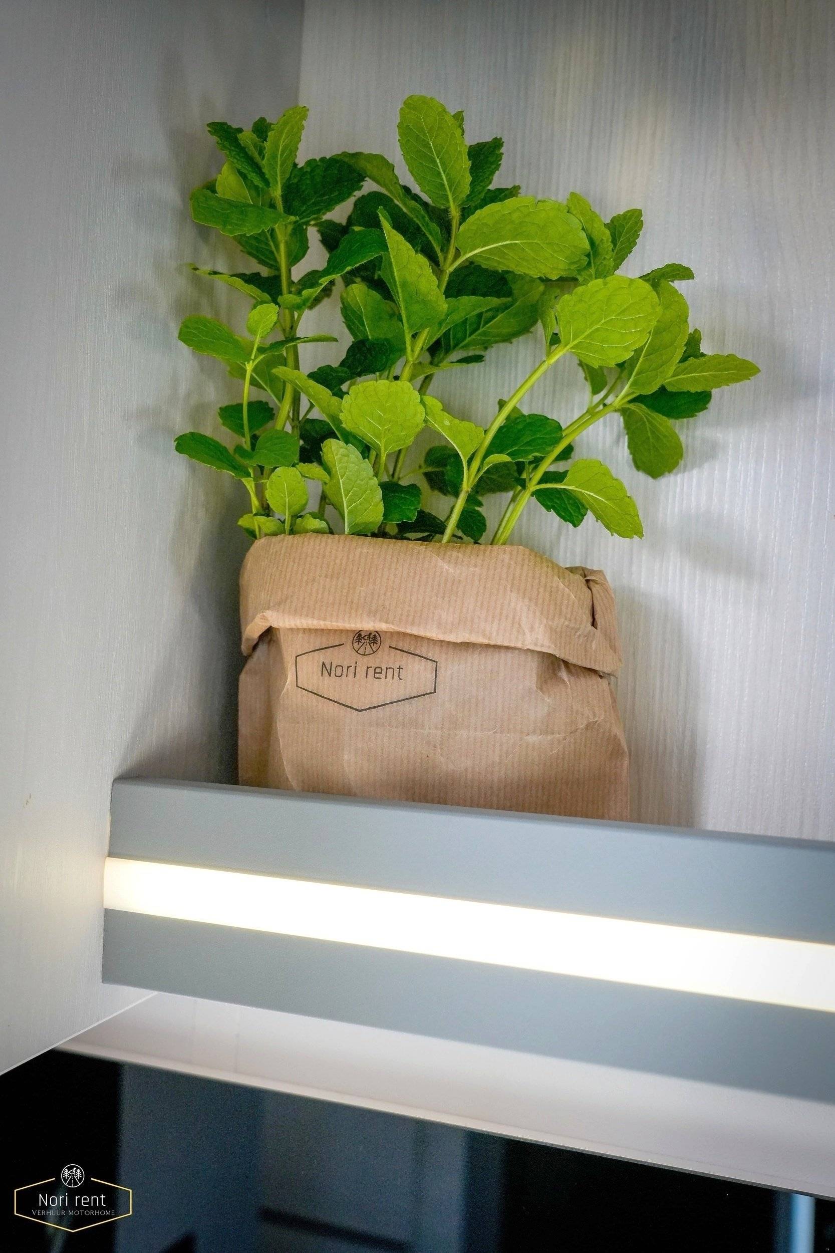 Chausson 777GA Titanium Premium