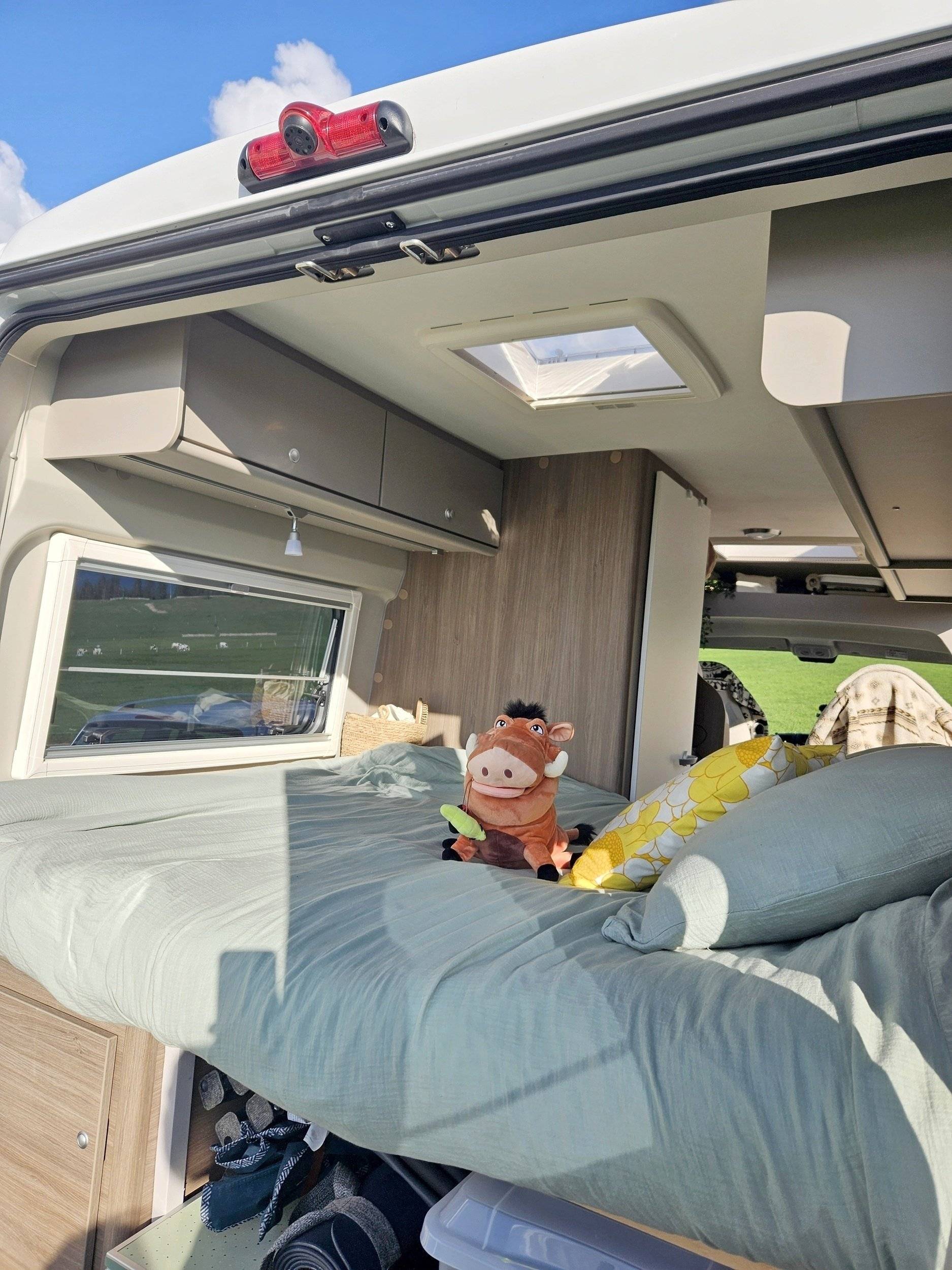 Carado CARADO CV 600 Clever+ Edition