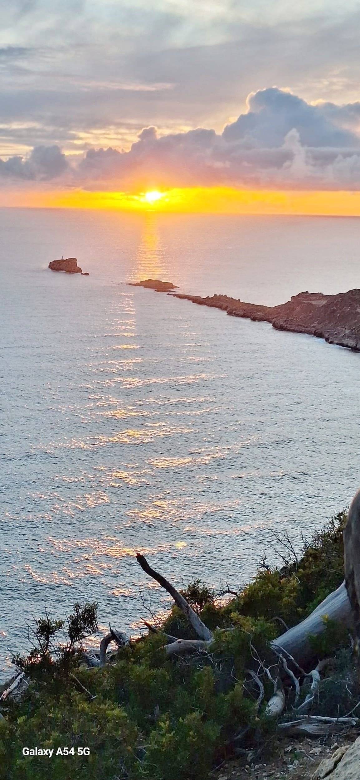 Bavaria Trigano FD1 /FOT3M335KPFD41ZO/Genesis