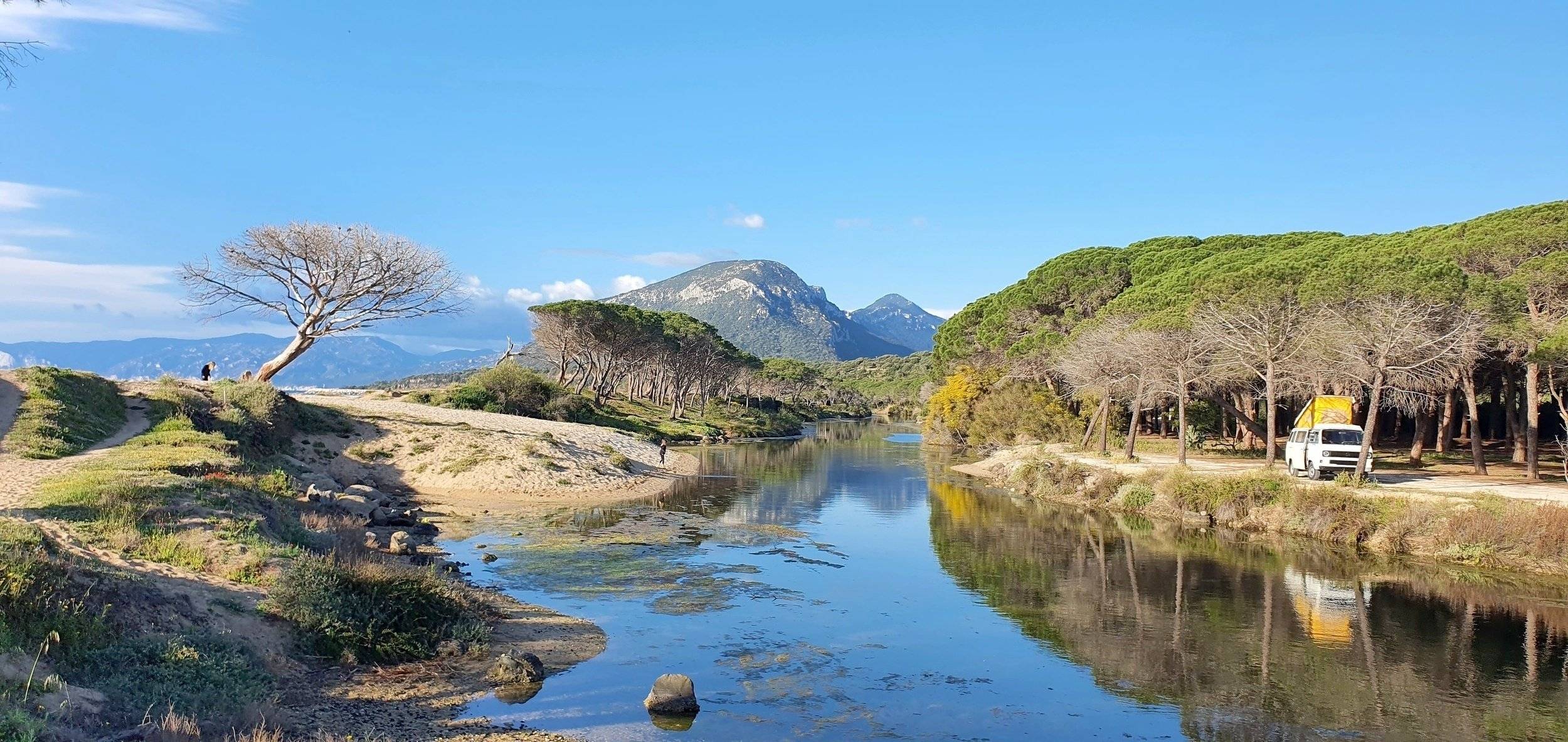 Westfalia T3 Westfalia