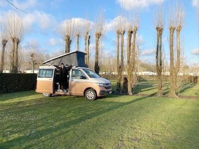 Volkswagen 