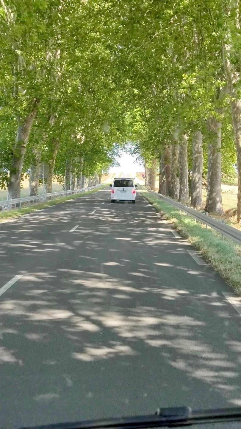 Volkswagen California Ocean