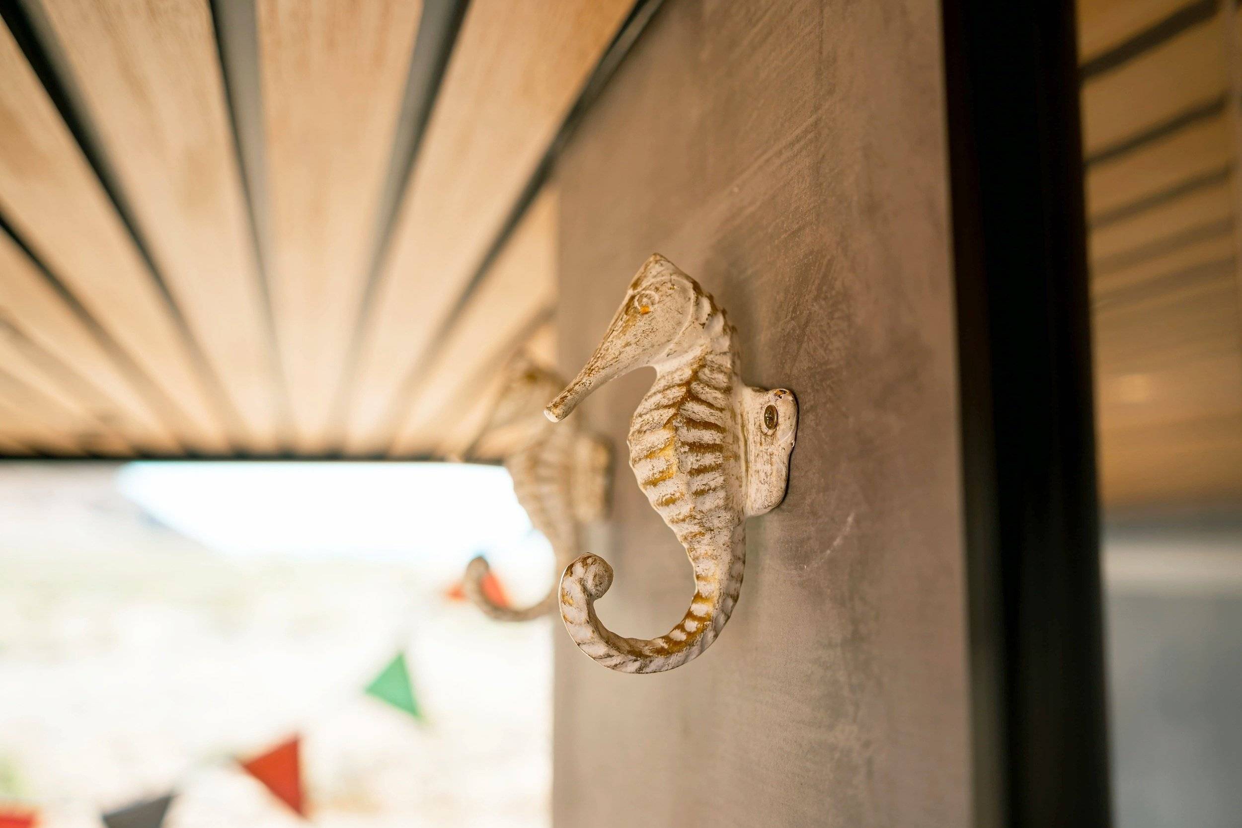 Volkswagen Roller house