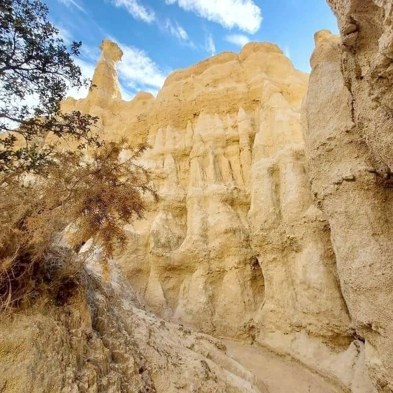 pyrénéens van perpignan Volkswagen T6