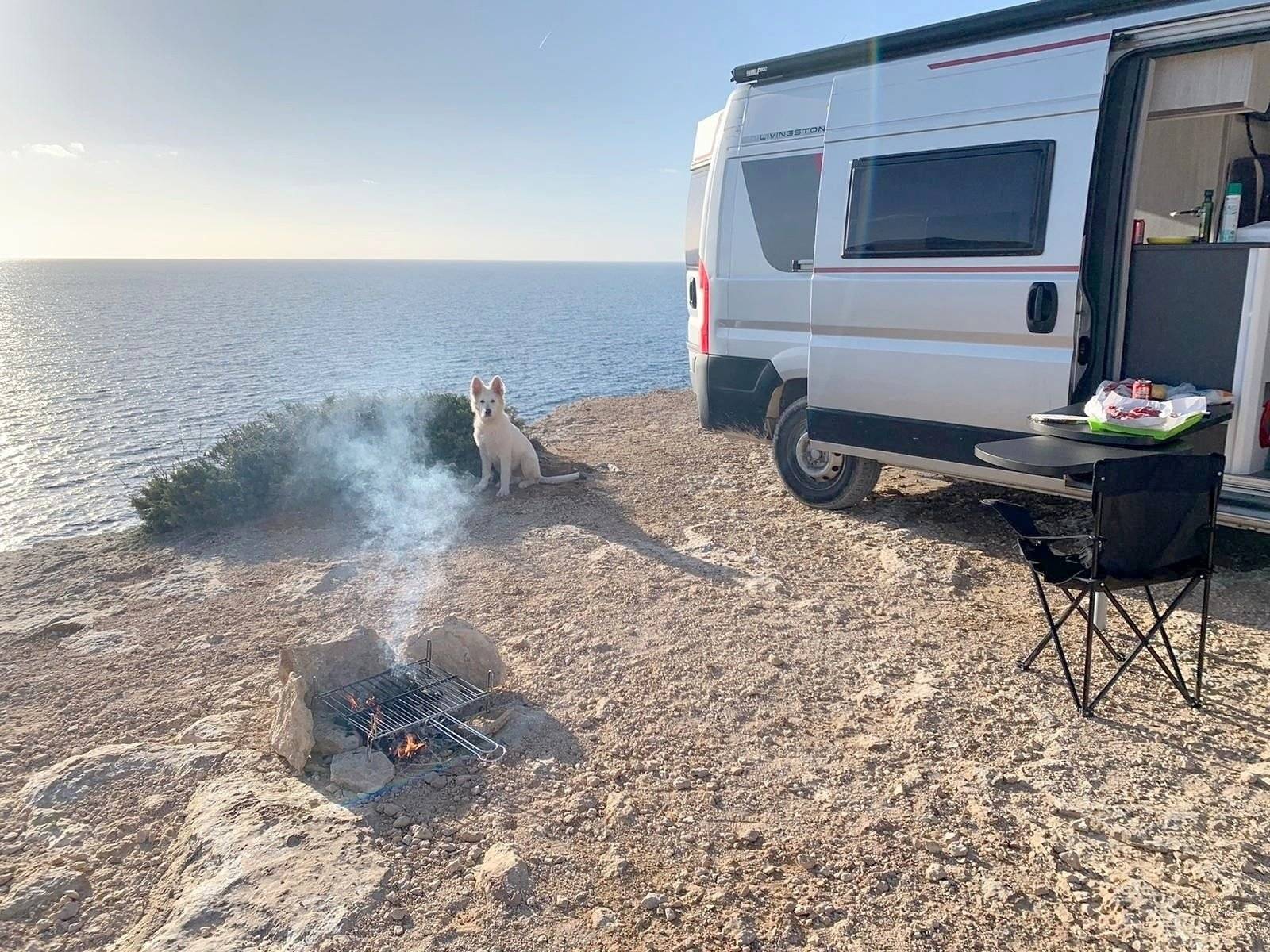 Roller Team Livingstone 5