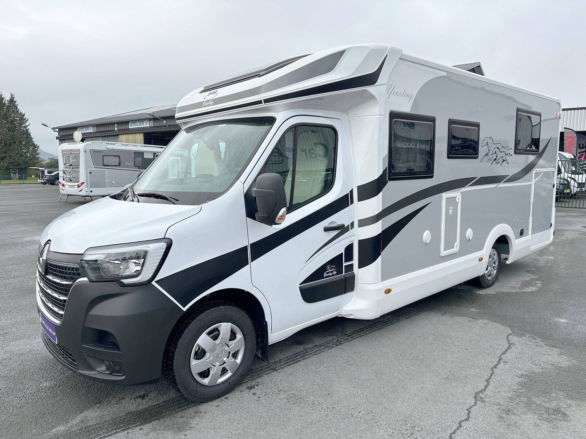 Mclouis Mclouis Yearling 89