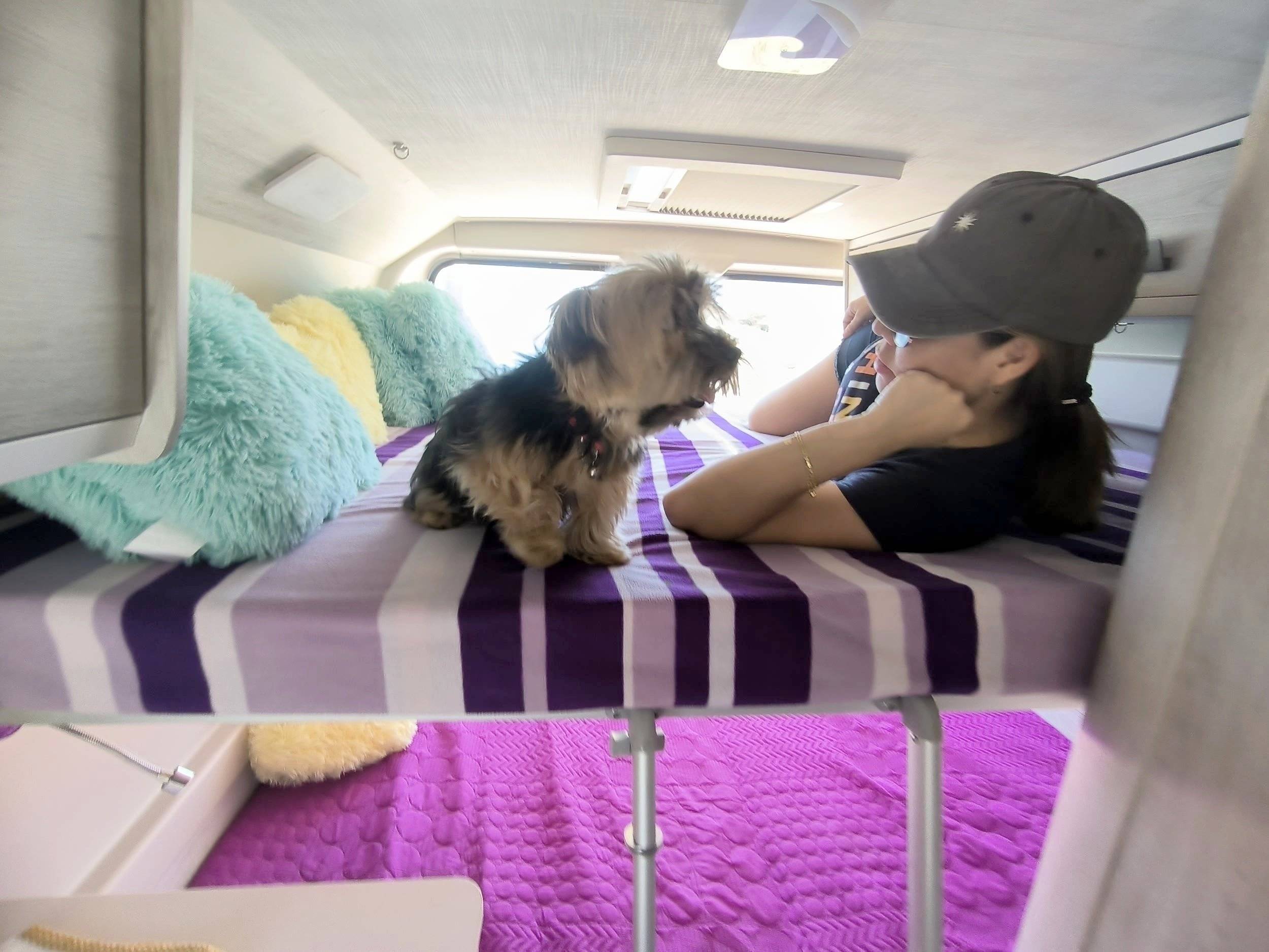 Roller Team Livingstone 5