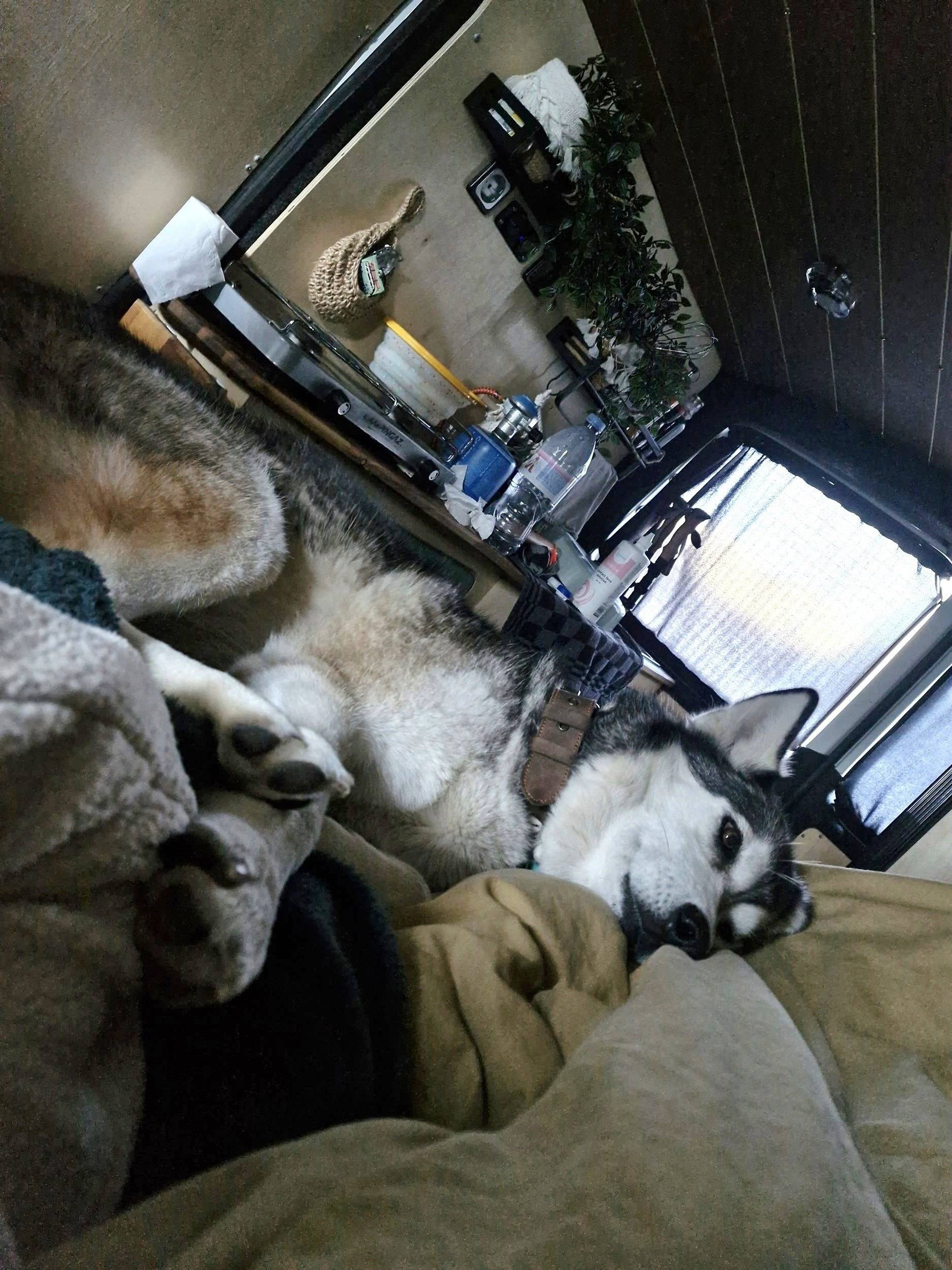 Couchages Volkswagen T5 1,9 l 102 ch - Yescapa