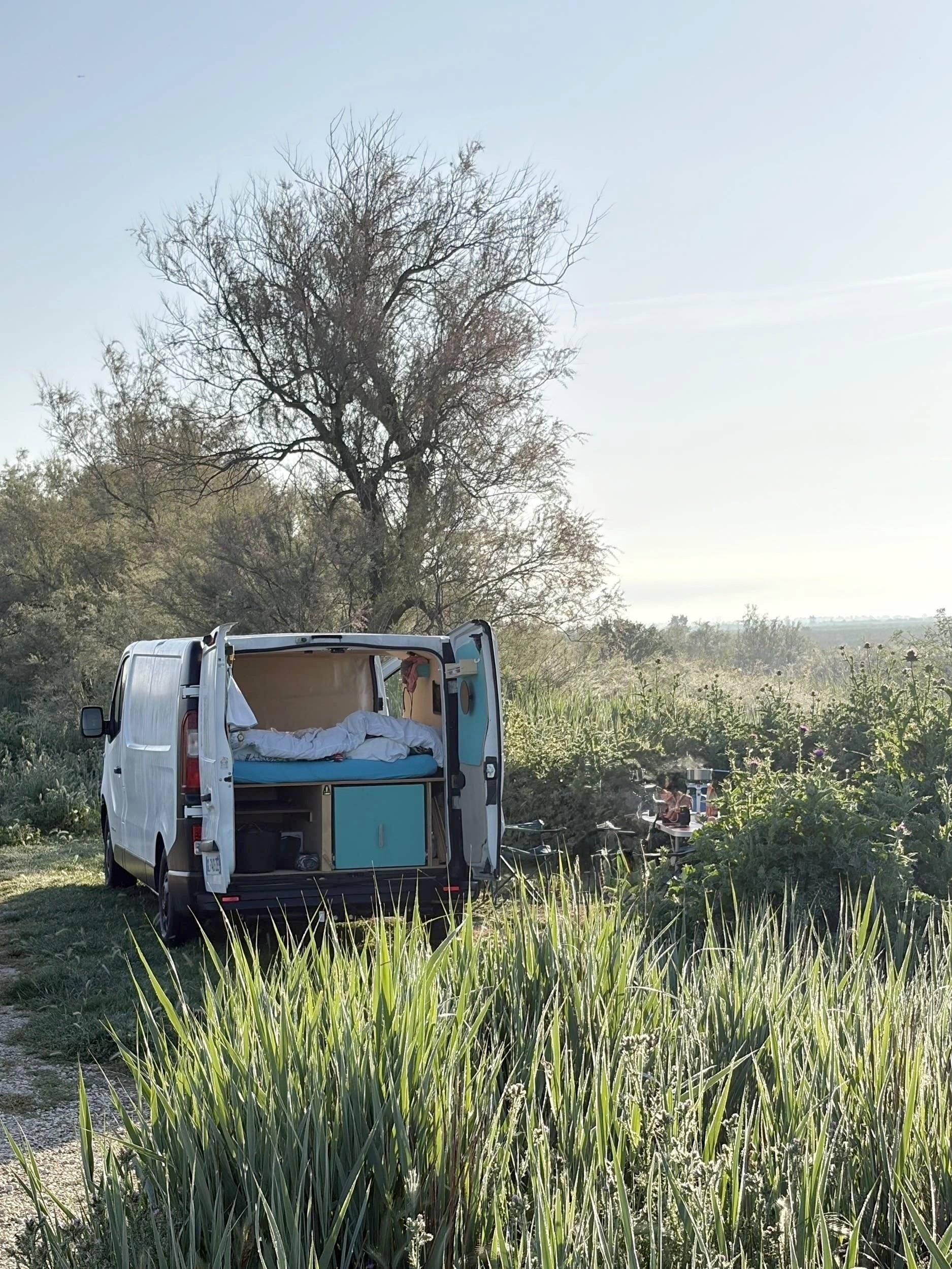 Renault Trafic 3