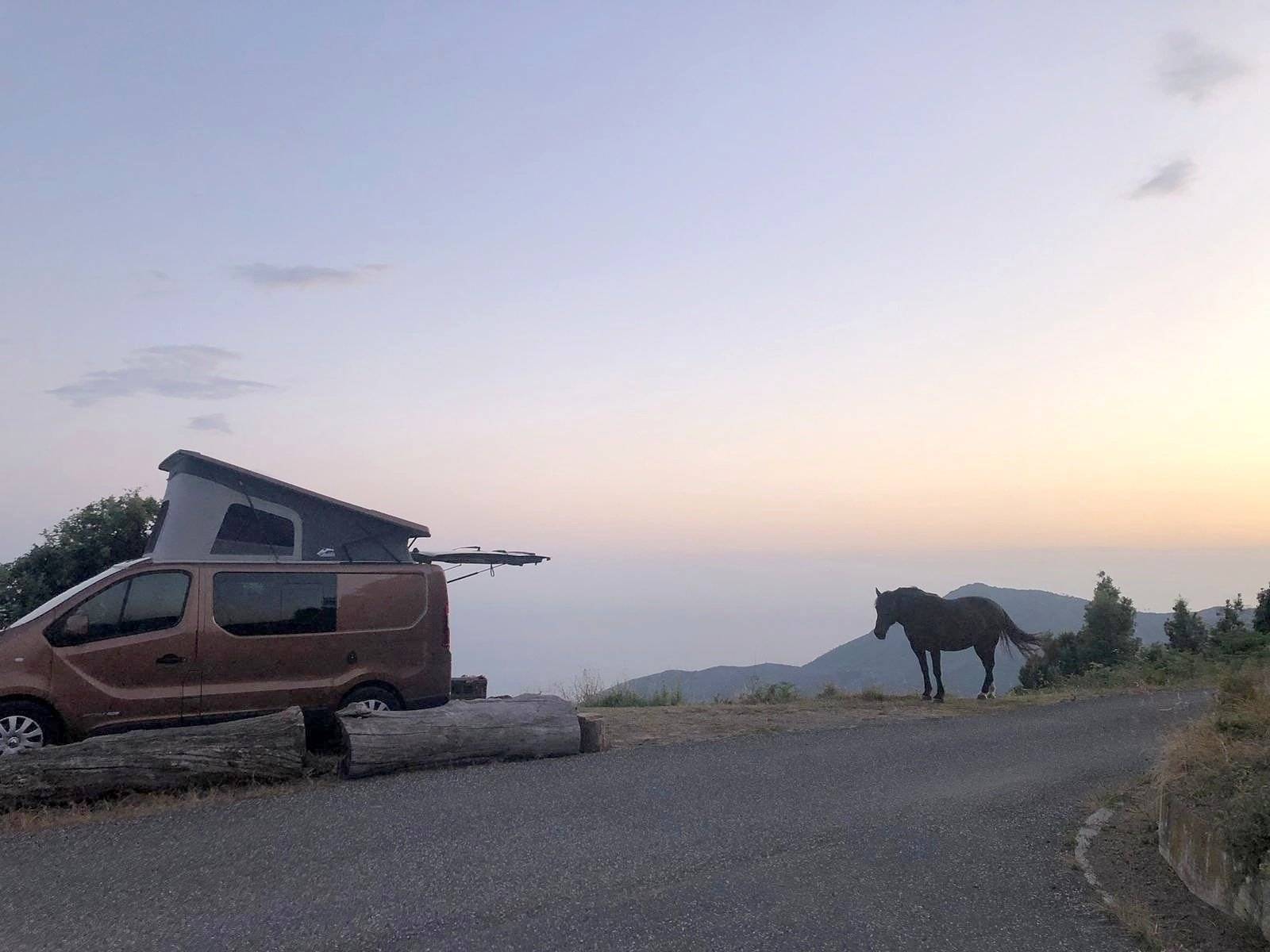 Glénan Concept Cars Trafic