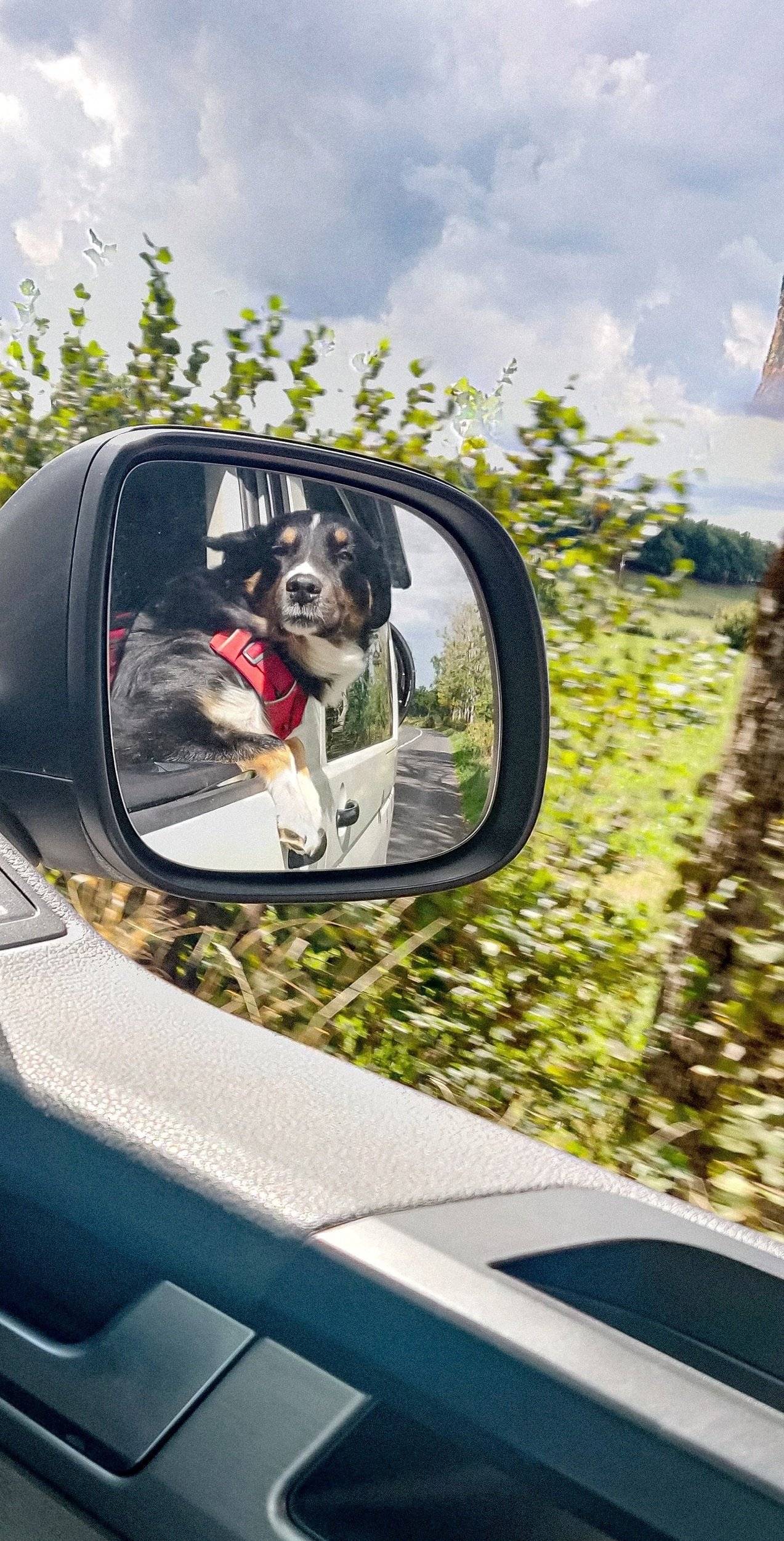 Volkswagen CALIFORNIA T6 2 l TDI 150 ch