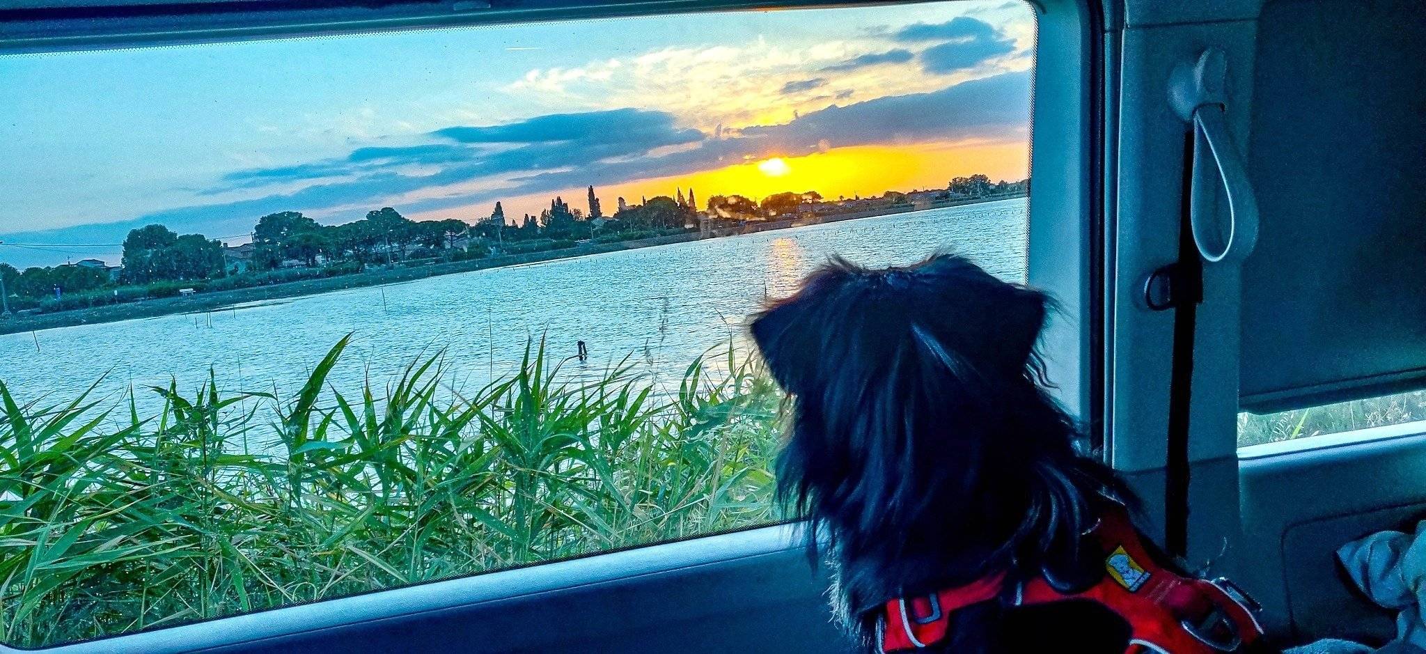 Volkswagen CALIFORNIA T6 2 l TDI 150 ch