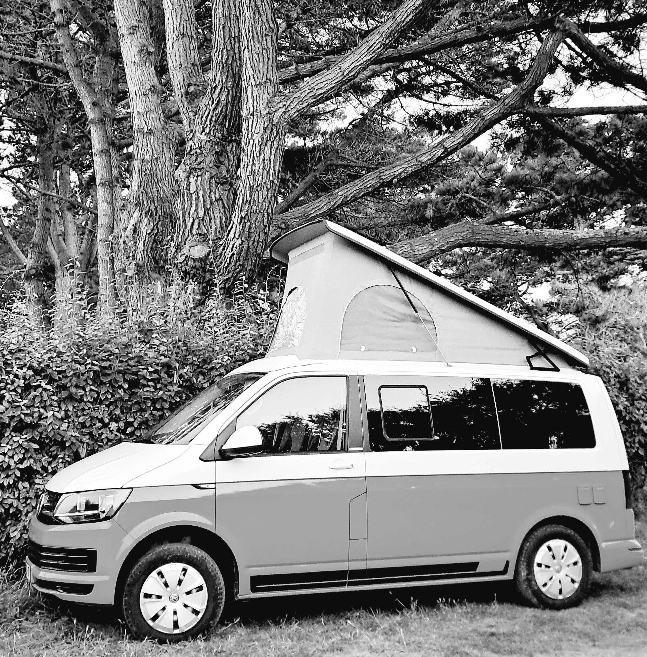 Volkswagen Volkswagen T6