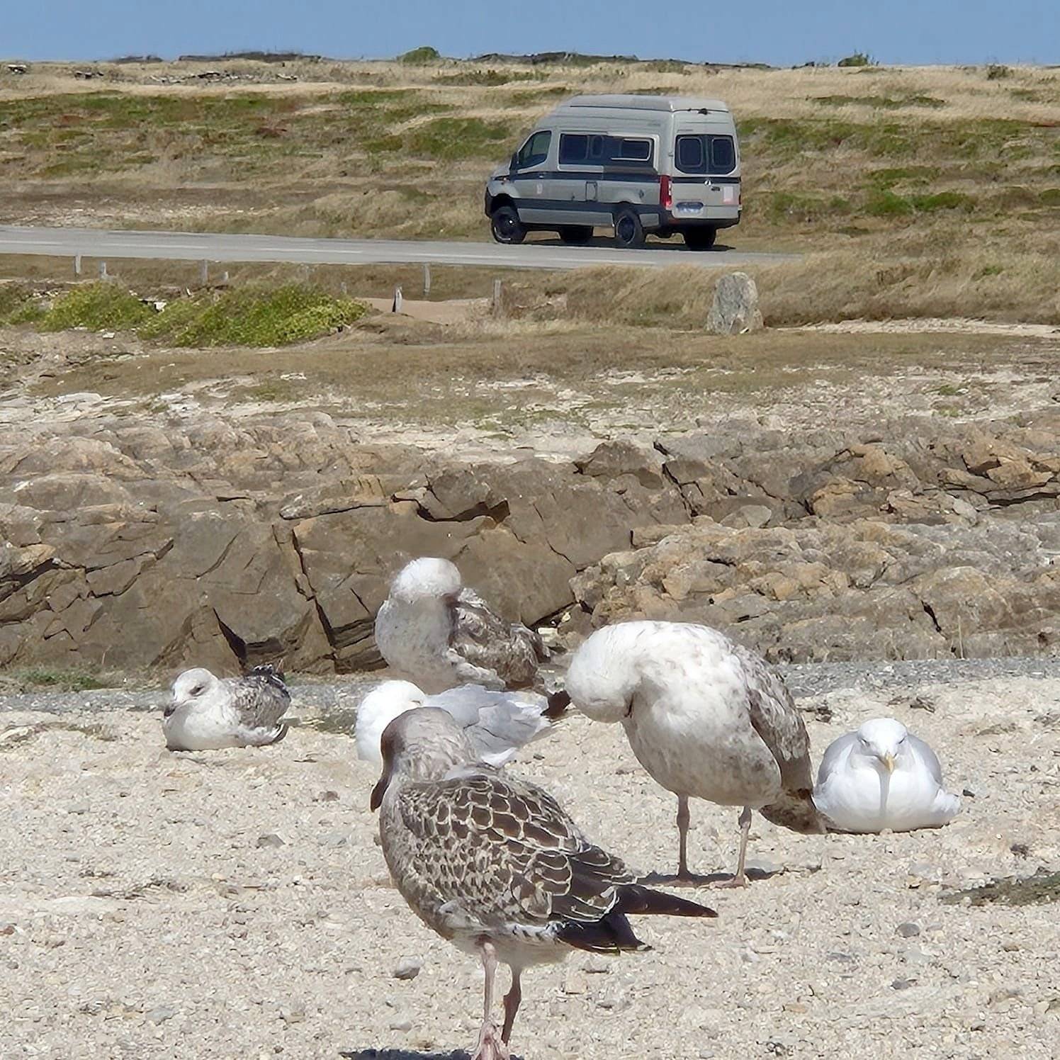 Hymer Hymer Grand Canyon S