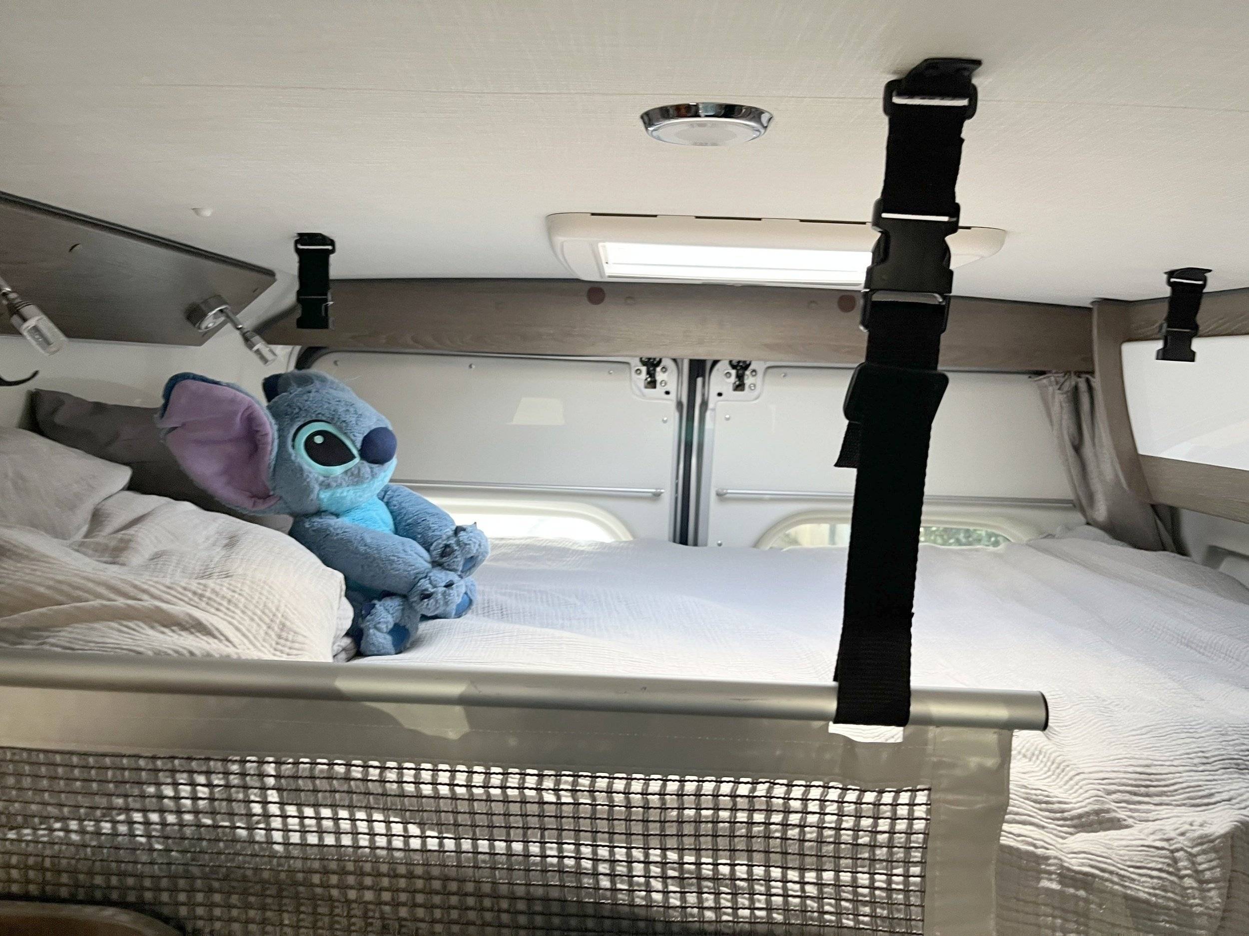 Randger randger r600