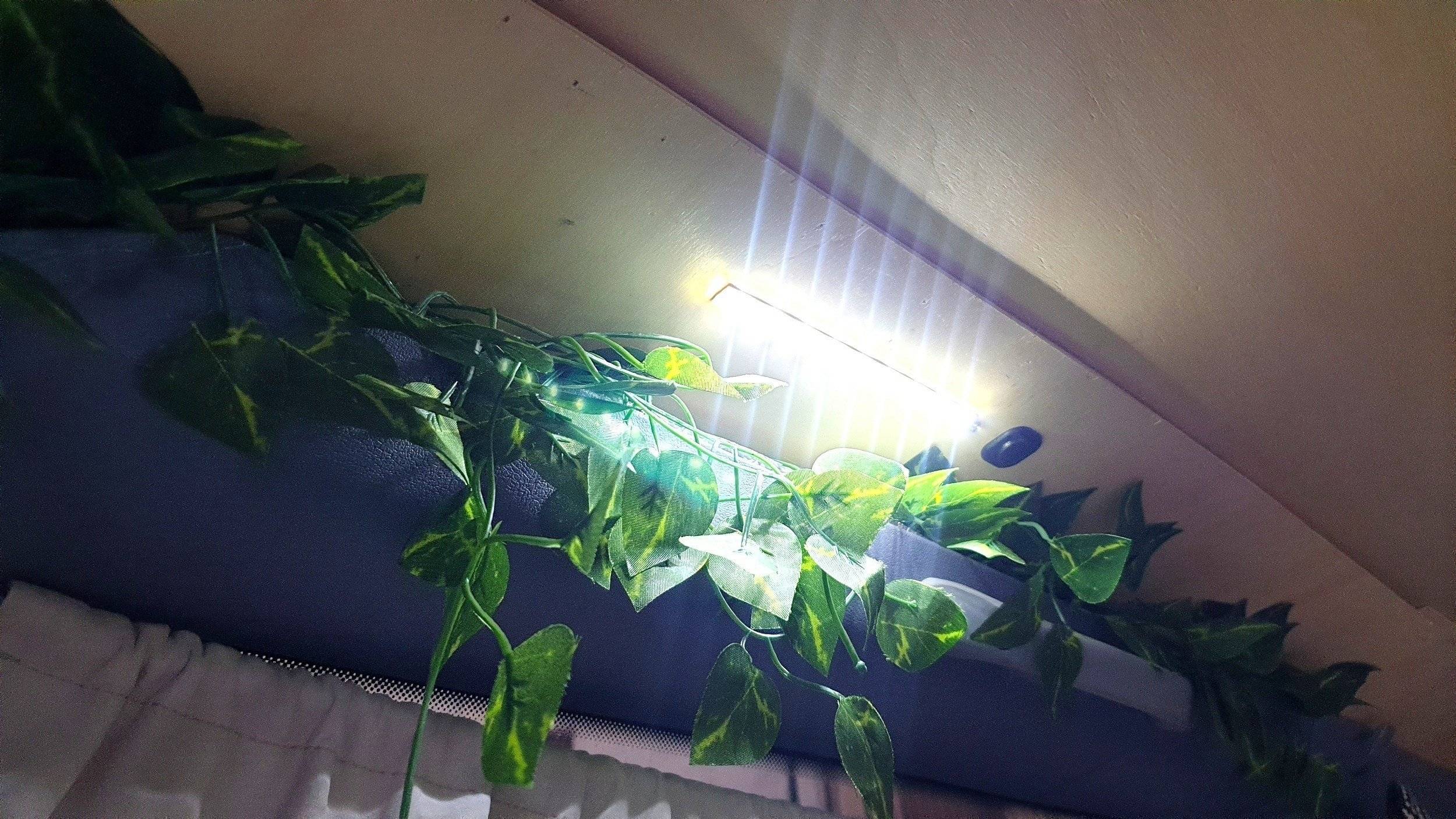 Mercedes Vito Mercedes