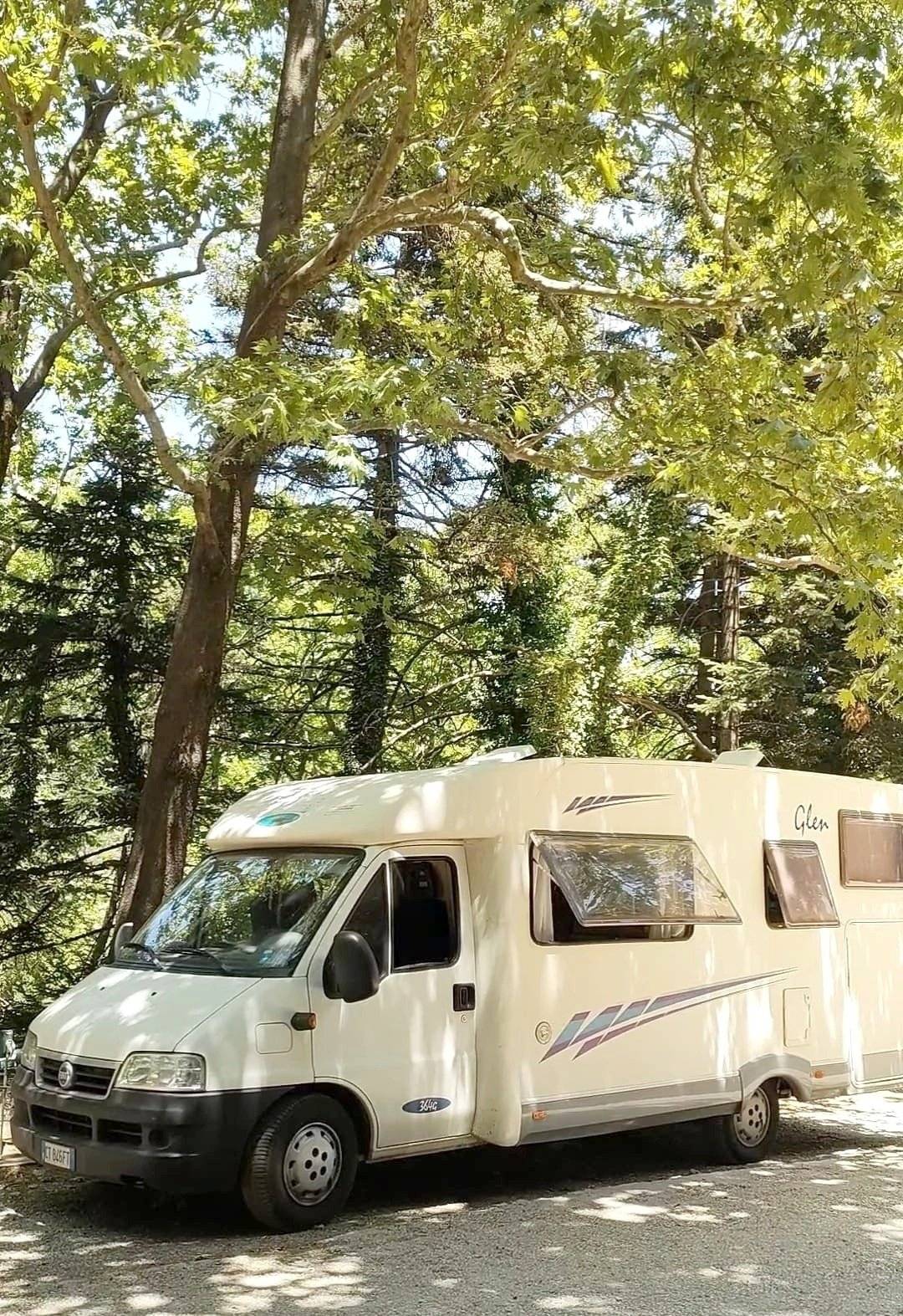 Mclouis Mclouis GLEN 364