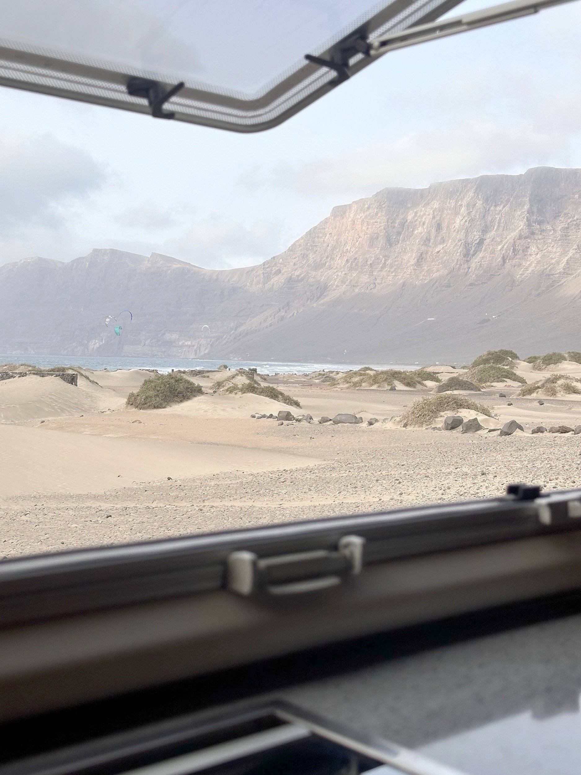 Mclouis McLouis Tandy