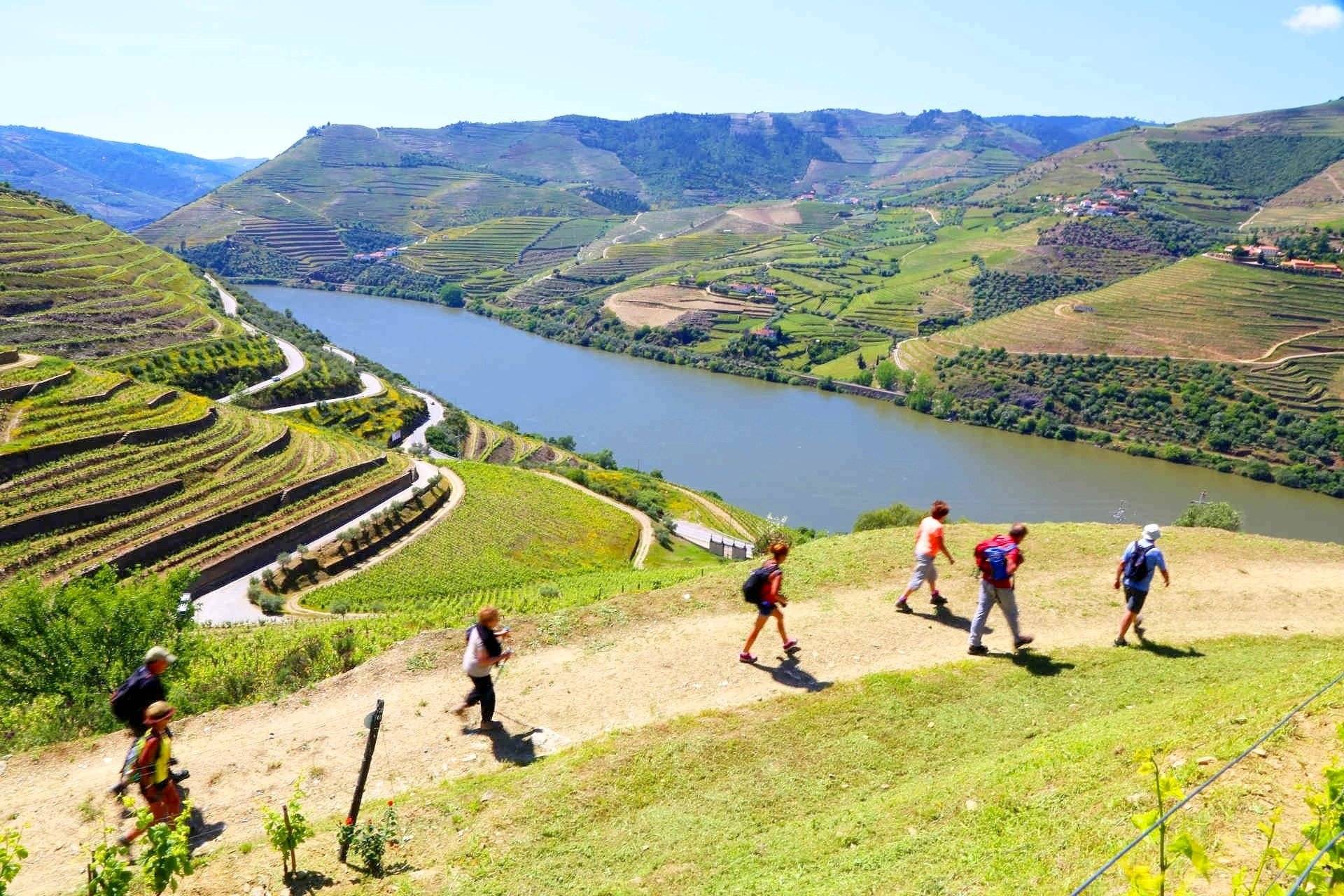 VW T4 Insurance &amp; All KM incl | MyVan Portugal