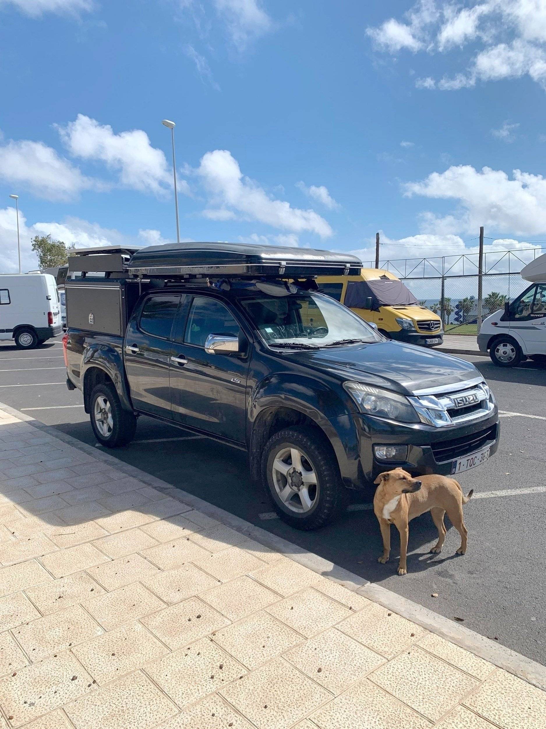 isuzu 