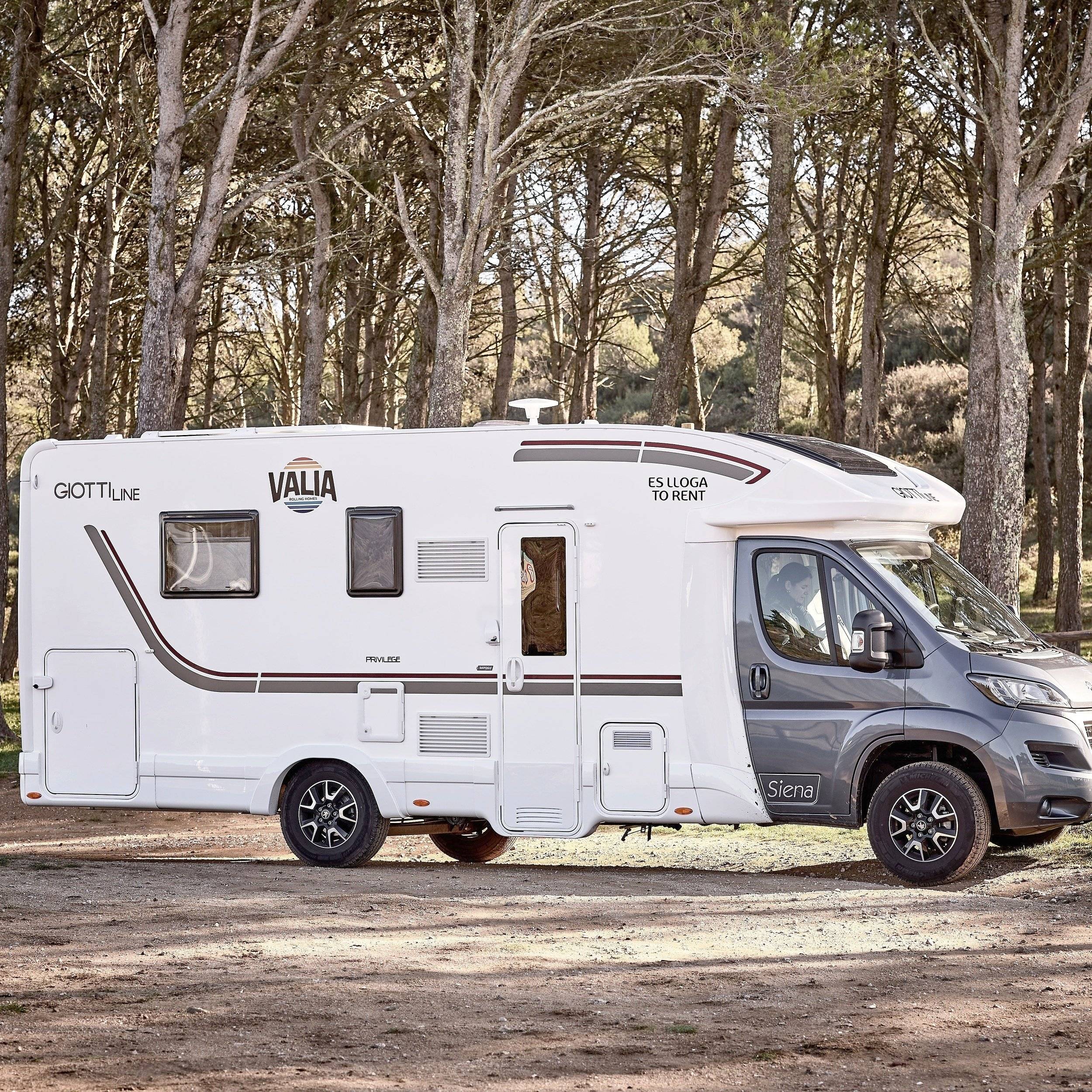 giottiline siena 390