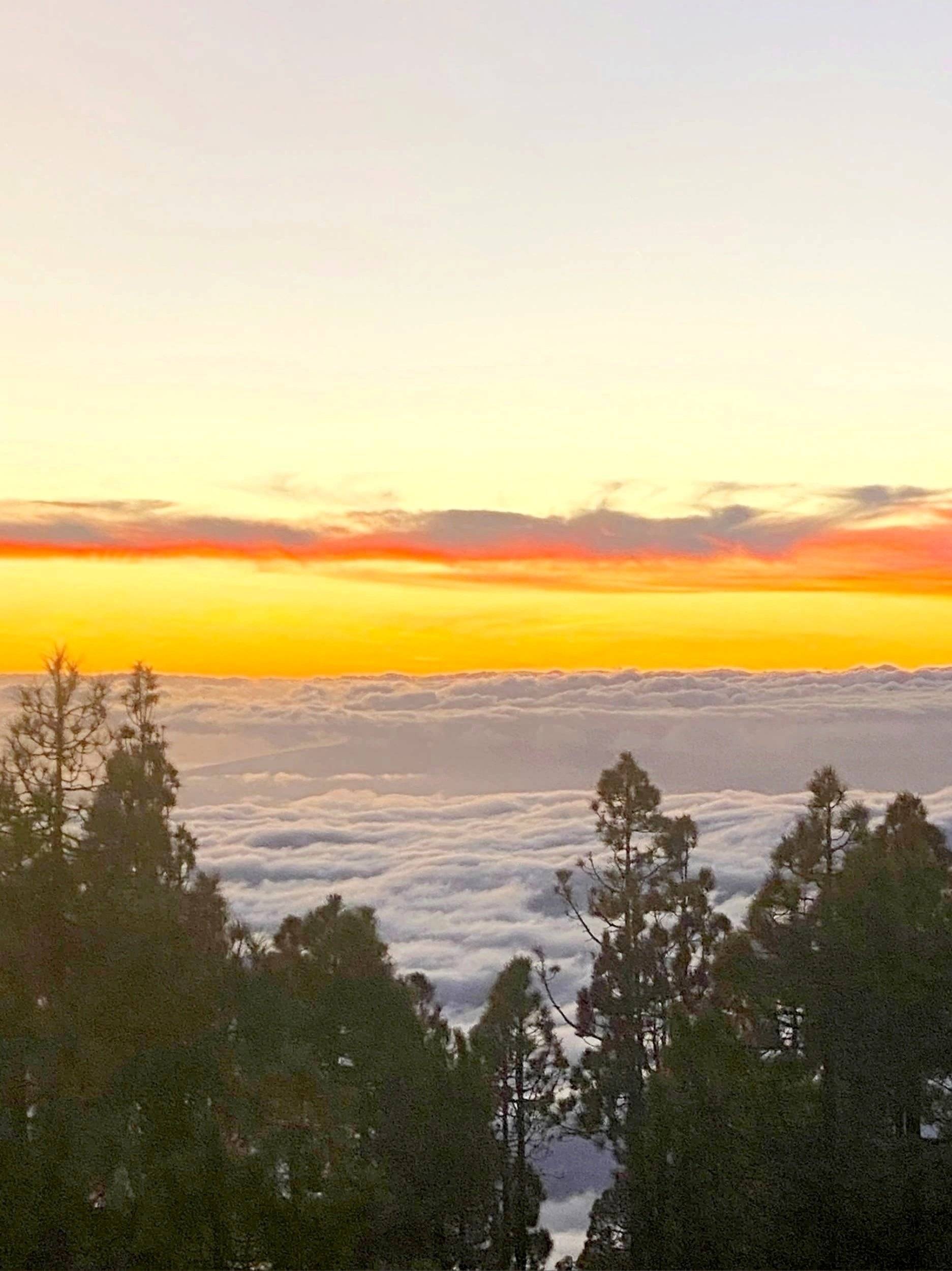 Peugeot Boxer 2,8 HDI