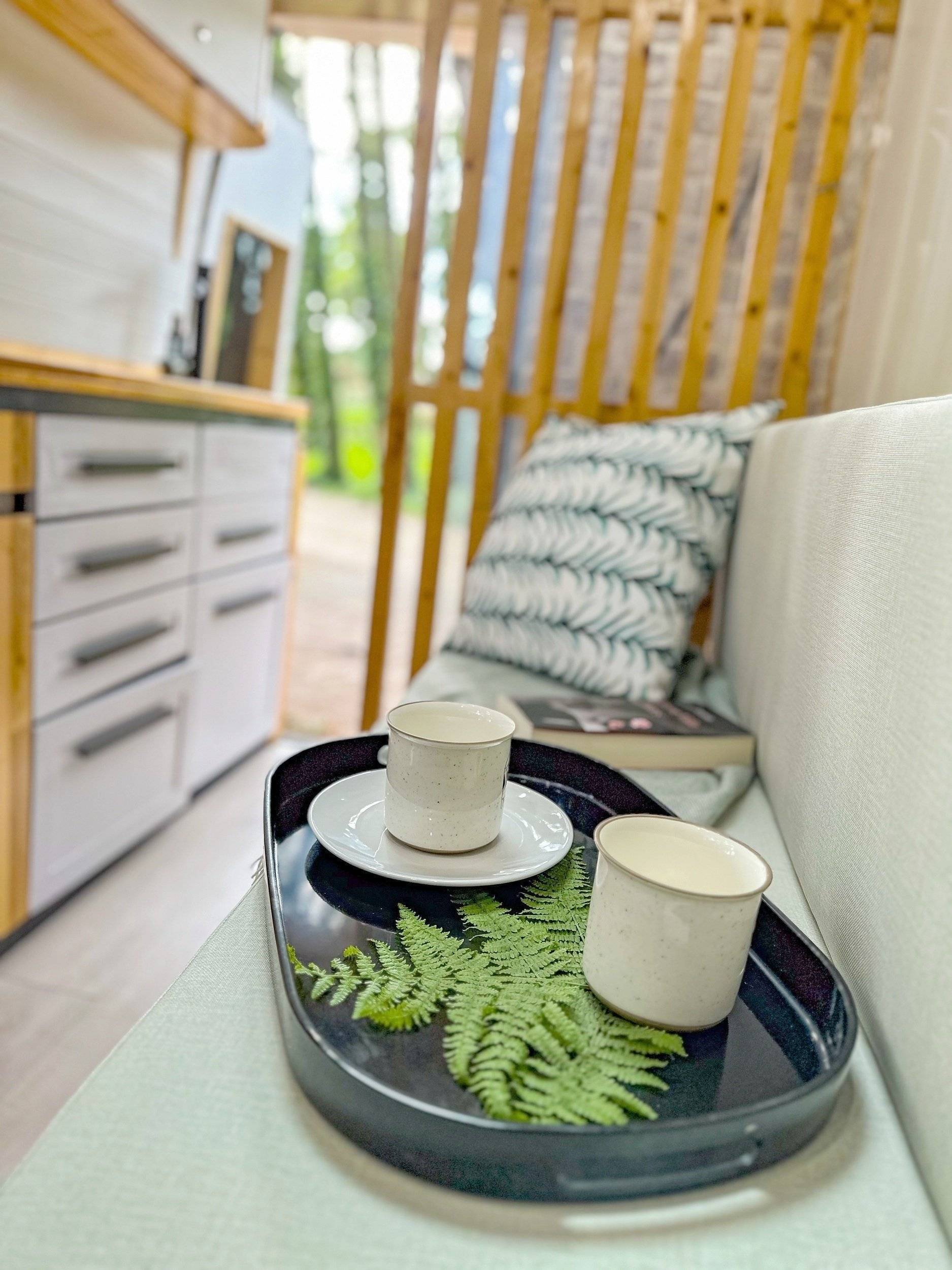 van.out Renault Master