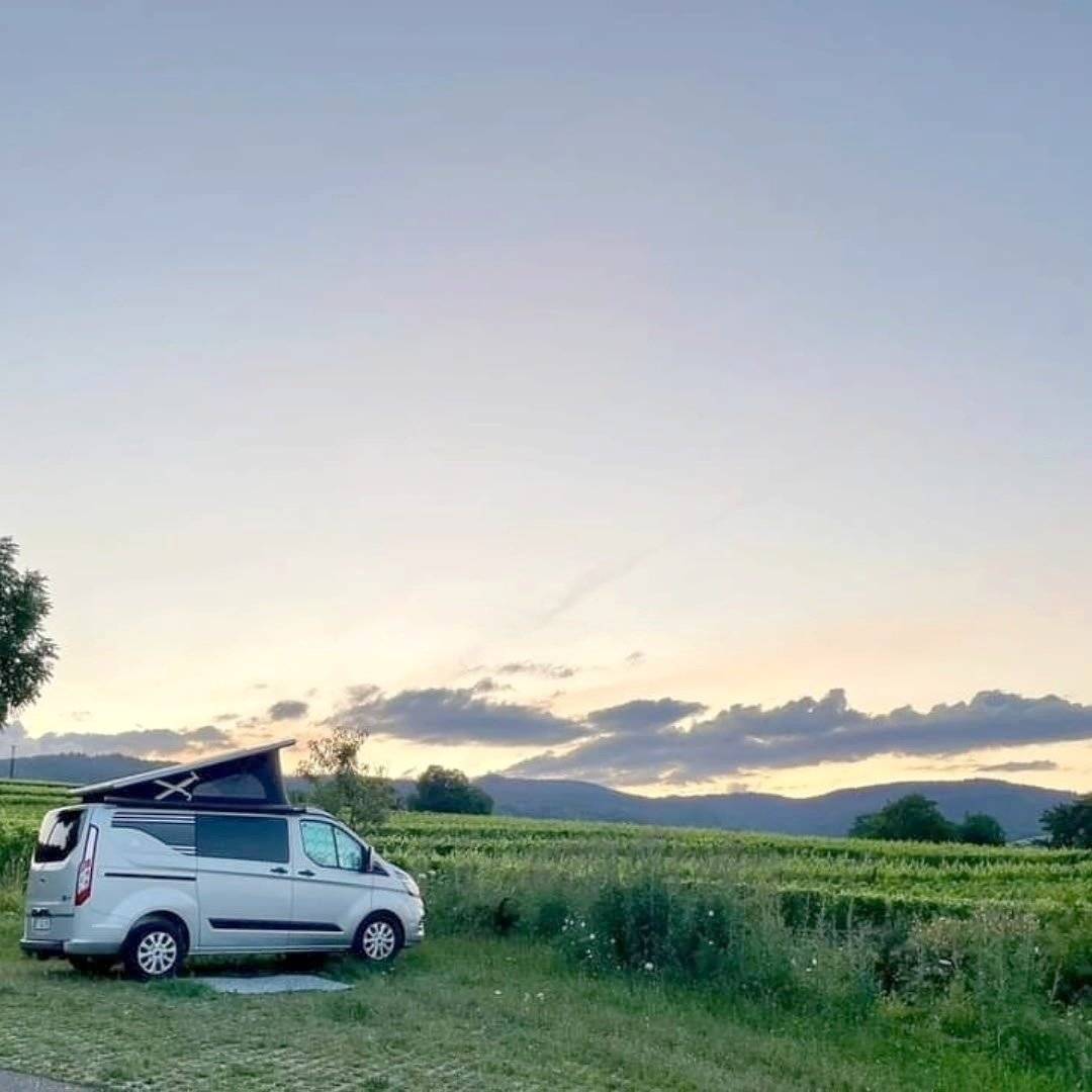 Stylevan Custom 2,0 l 130 ch