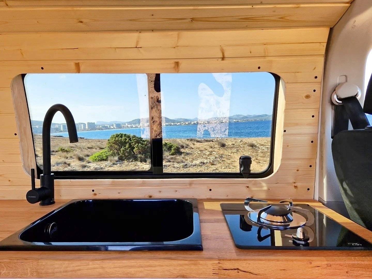 Caracol and friends Woody