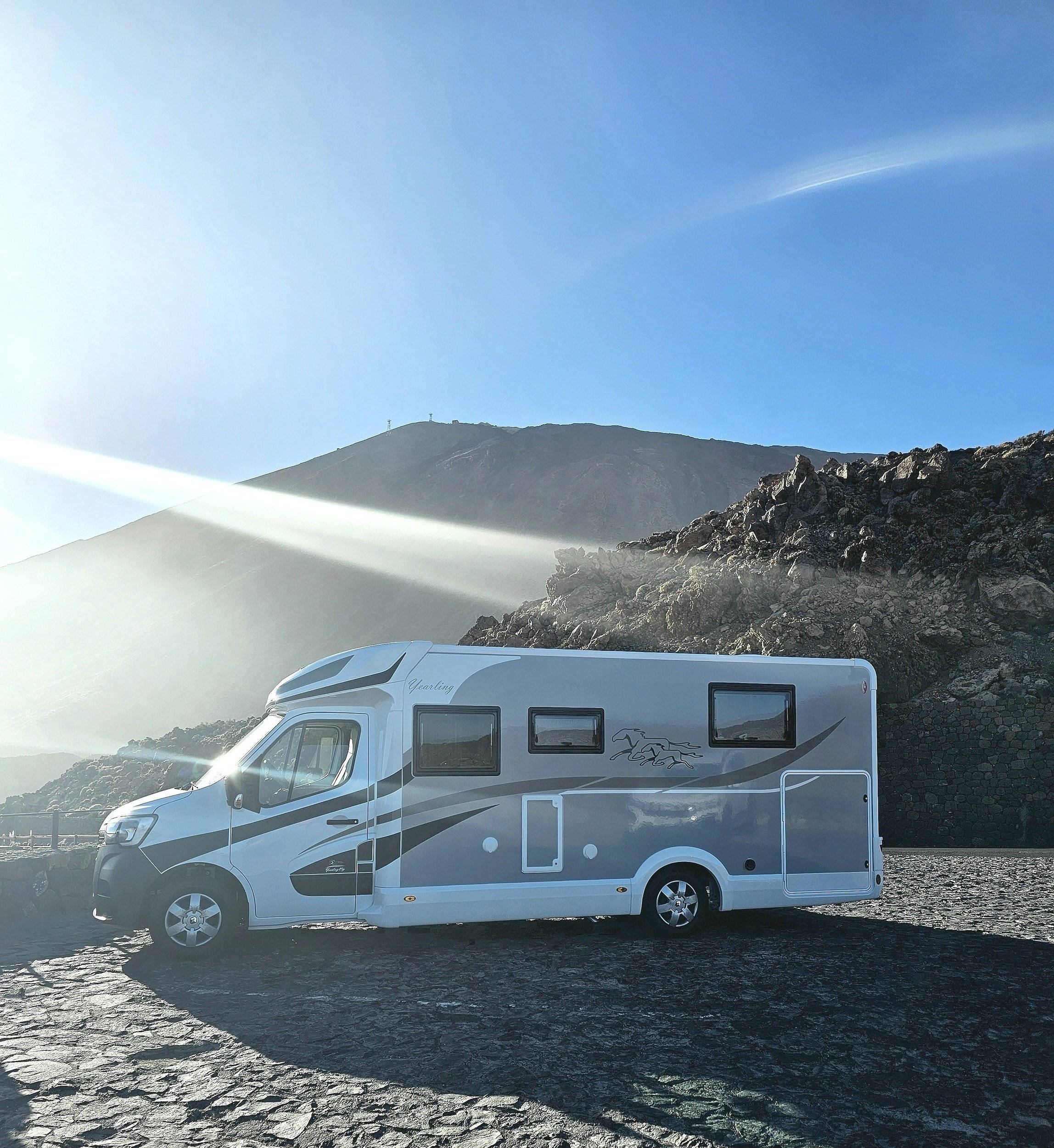 Mclouis Mclouis Yearling 89