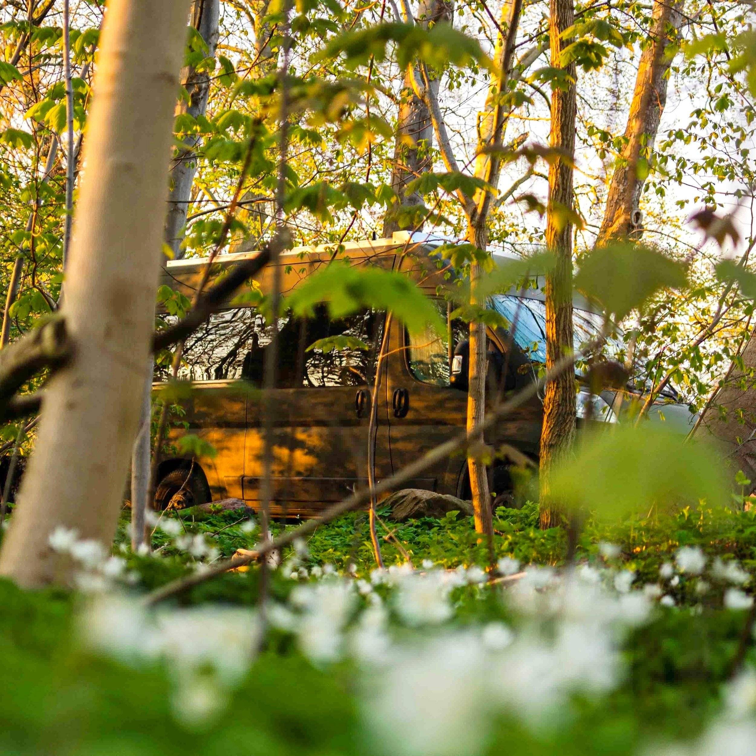 jumper Citroën jumper